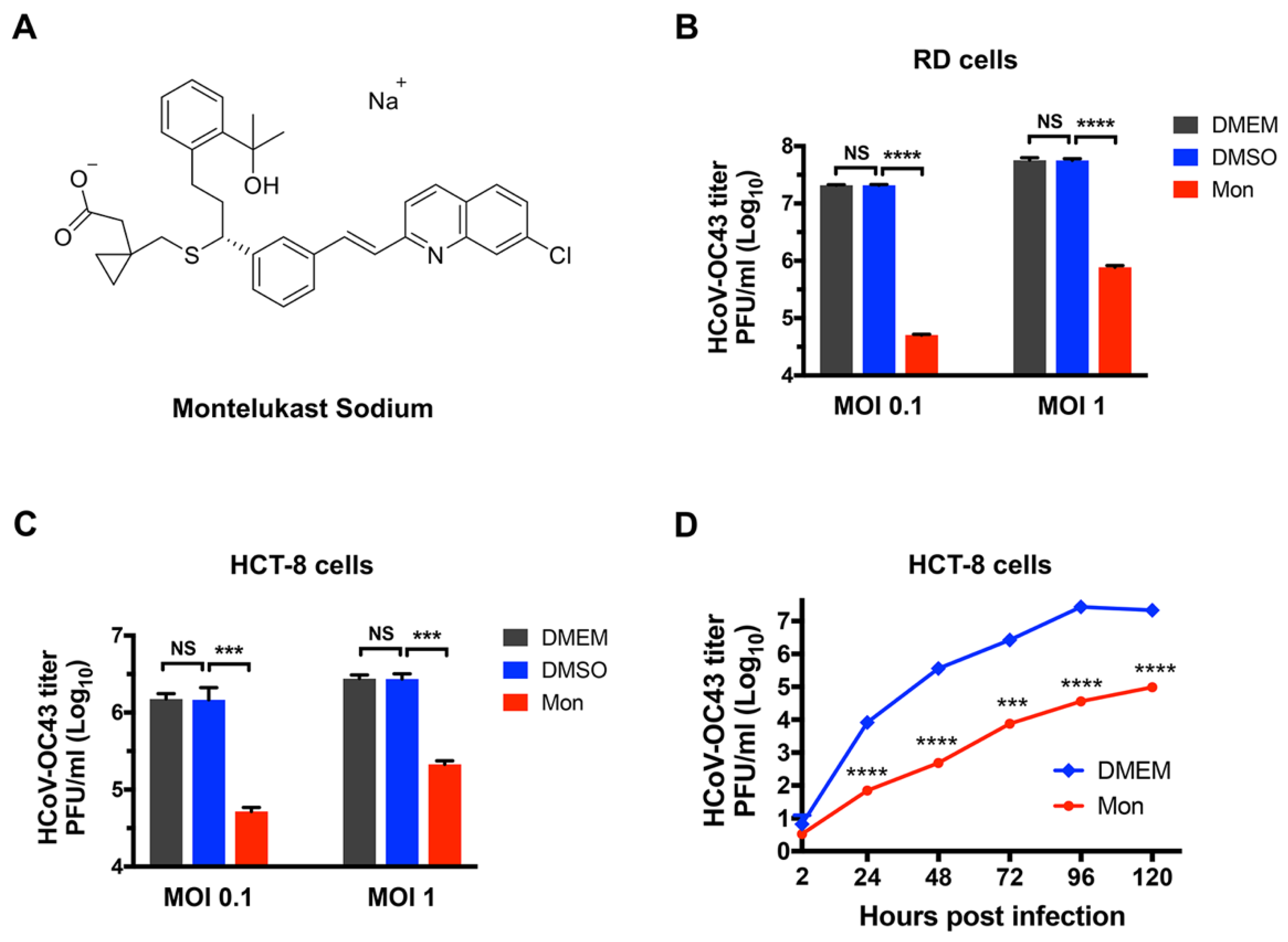Viruses 14 00861 g001