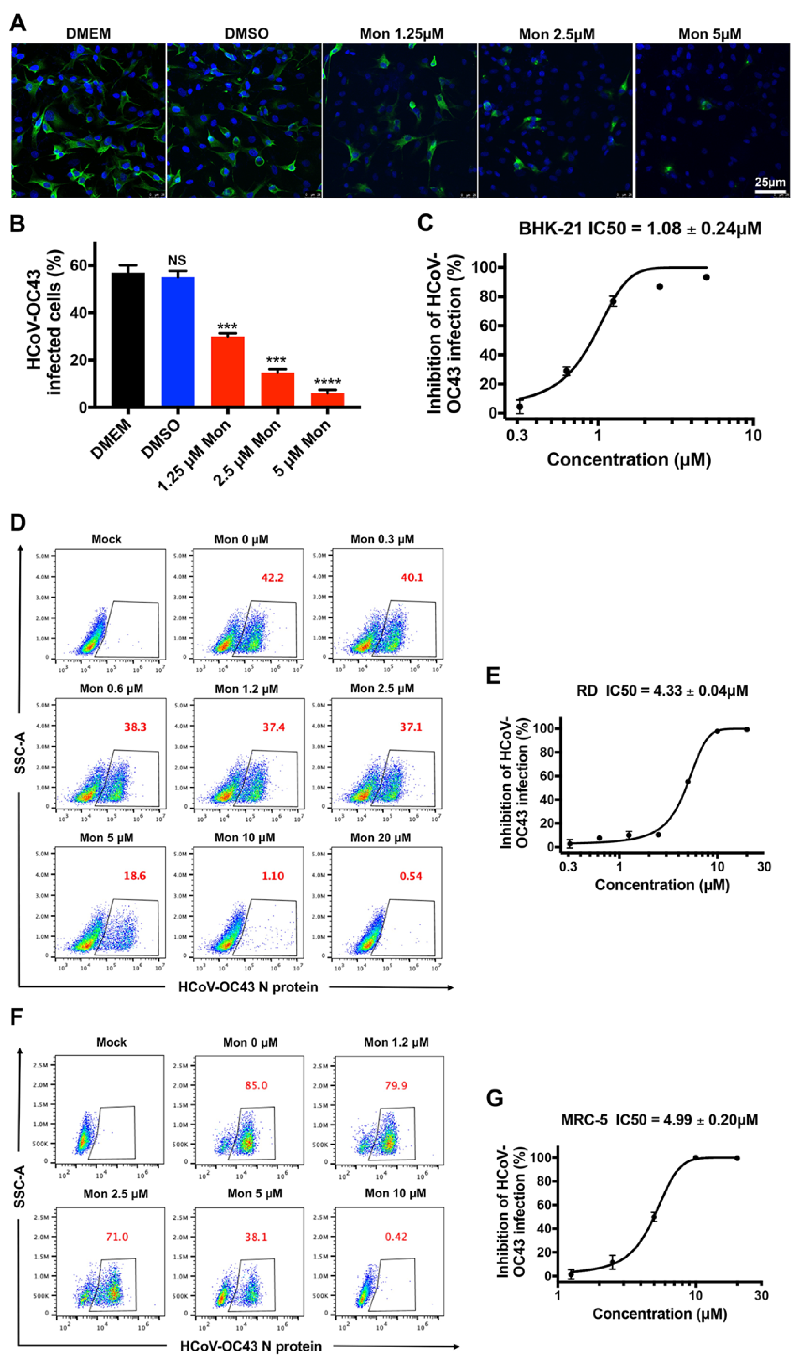 Viruses 14 00861 g002