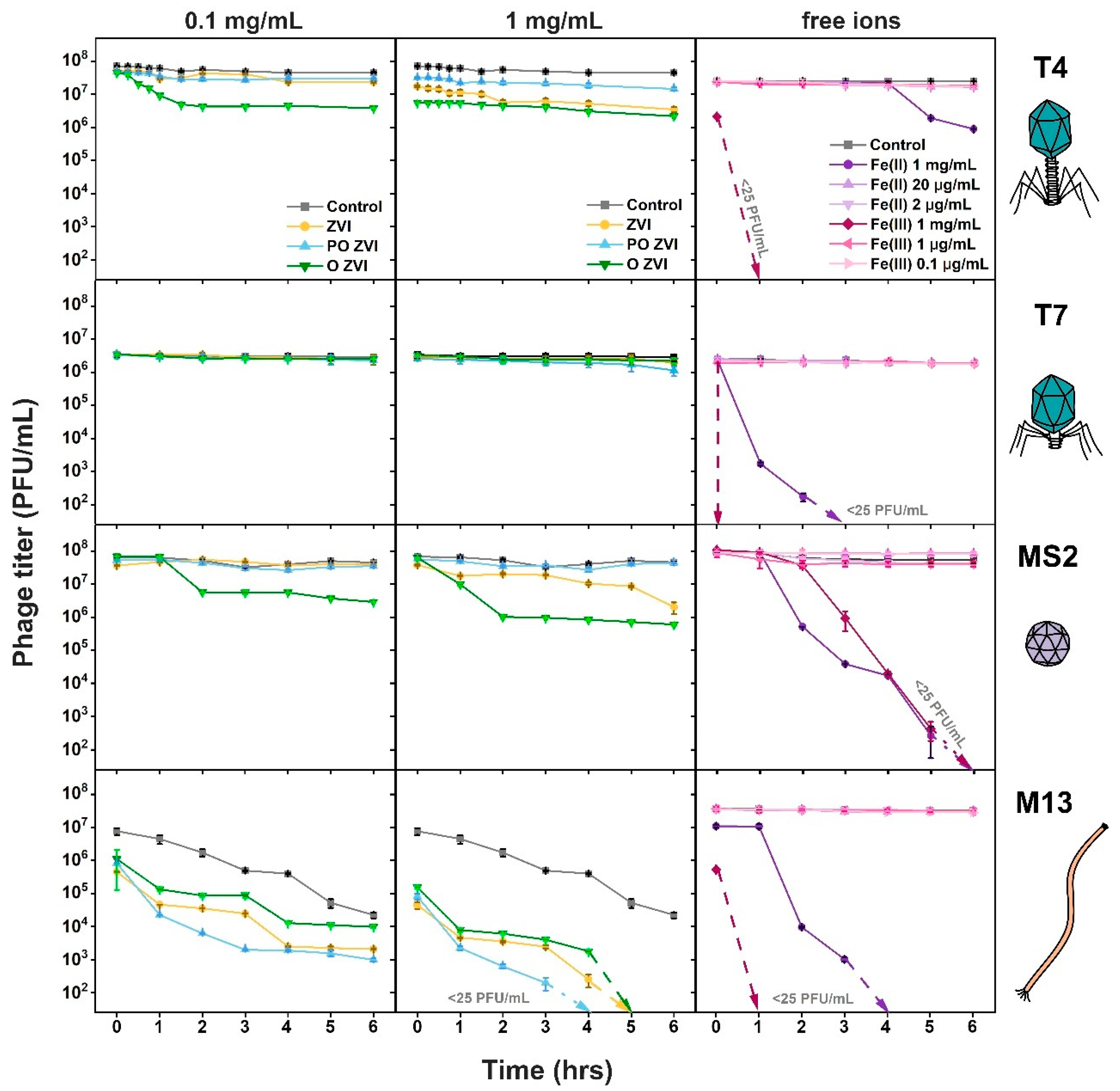 Viruses 14 00867 g002