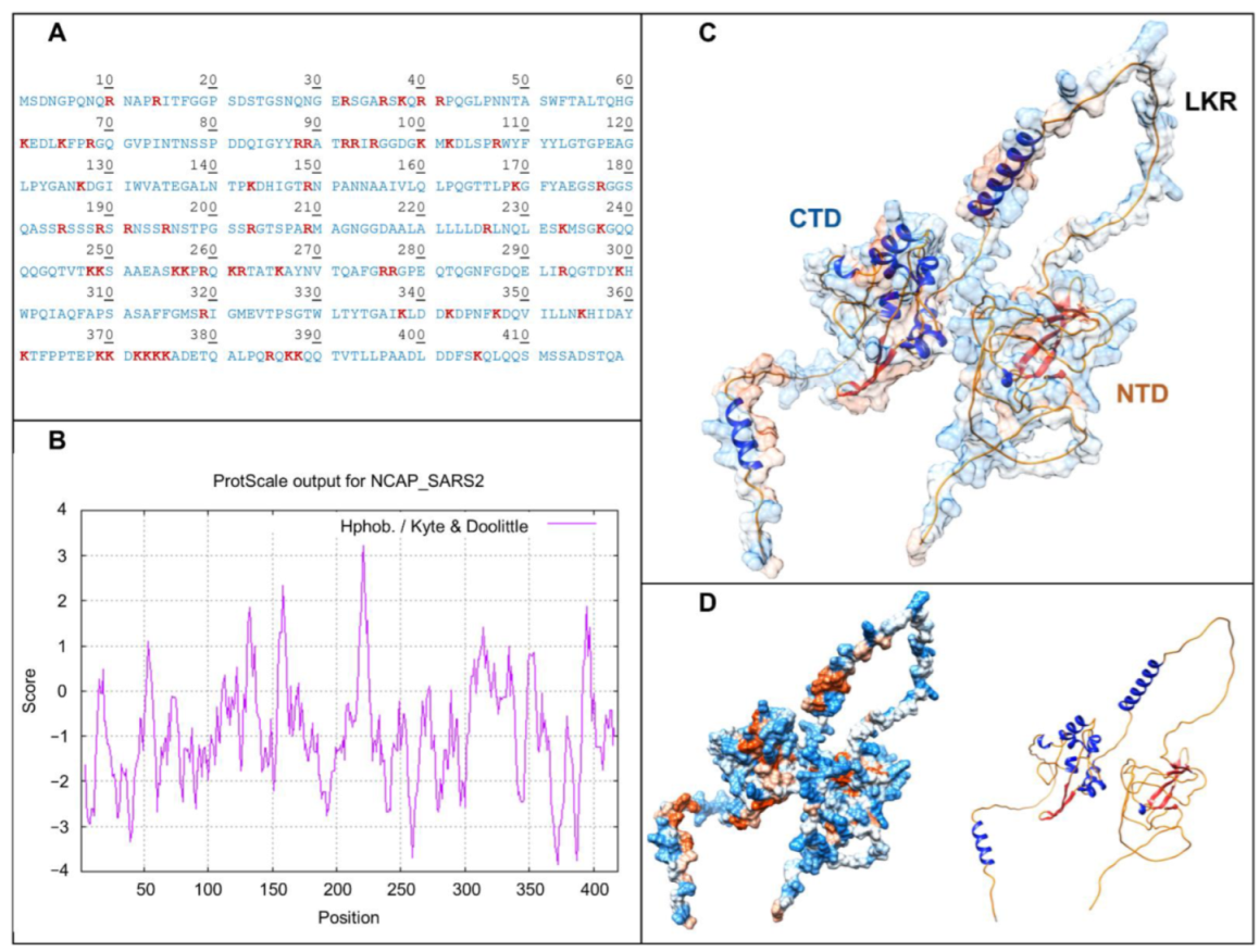 Viruses 14 00872 g001