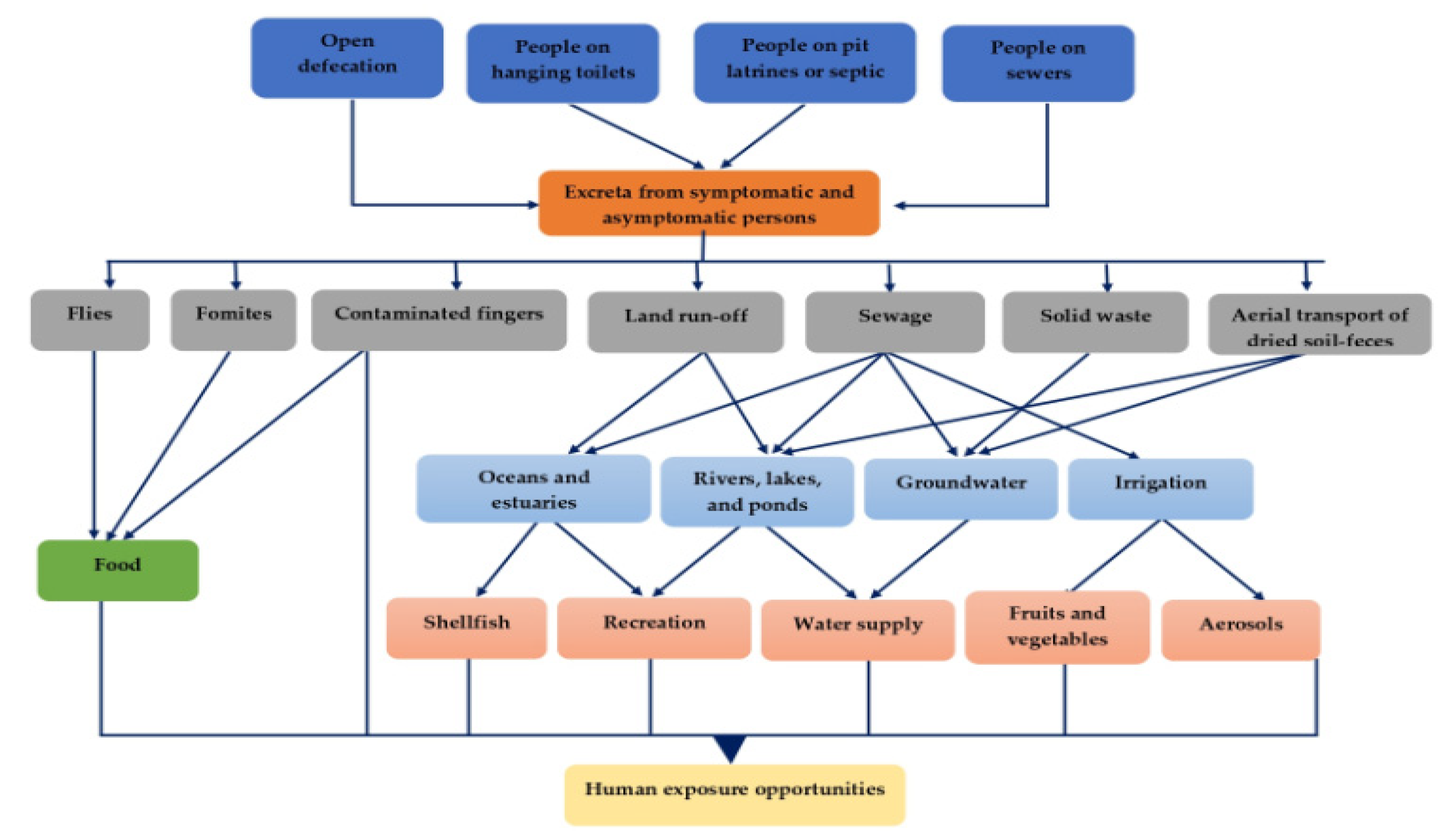 Viruses 14 00875 g002