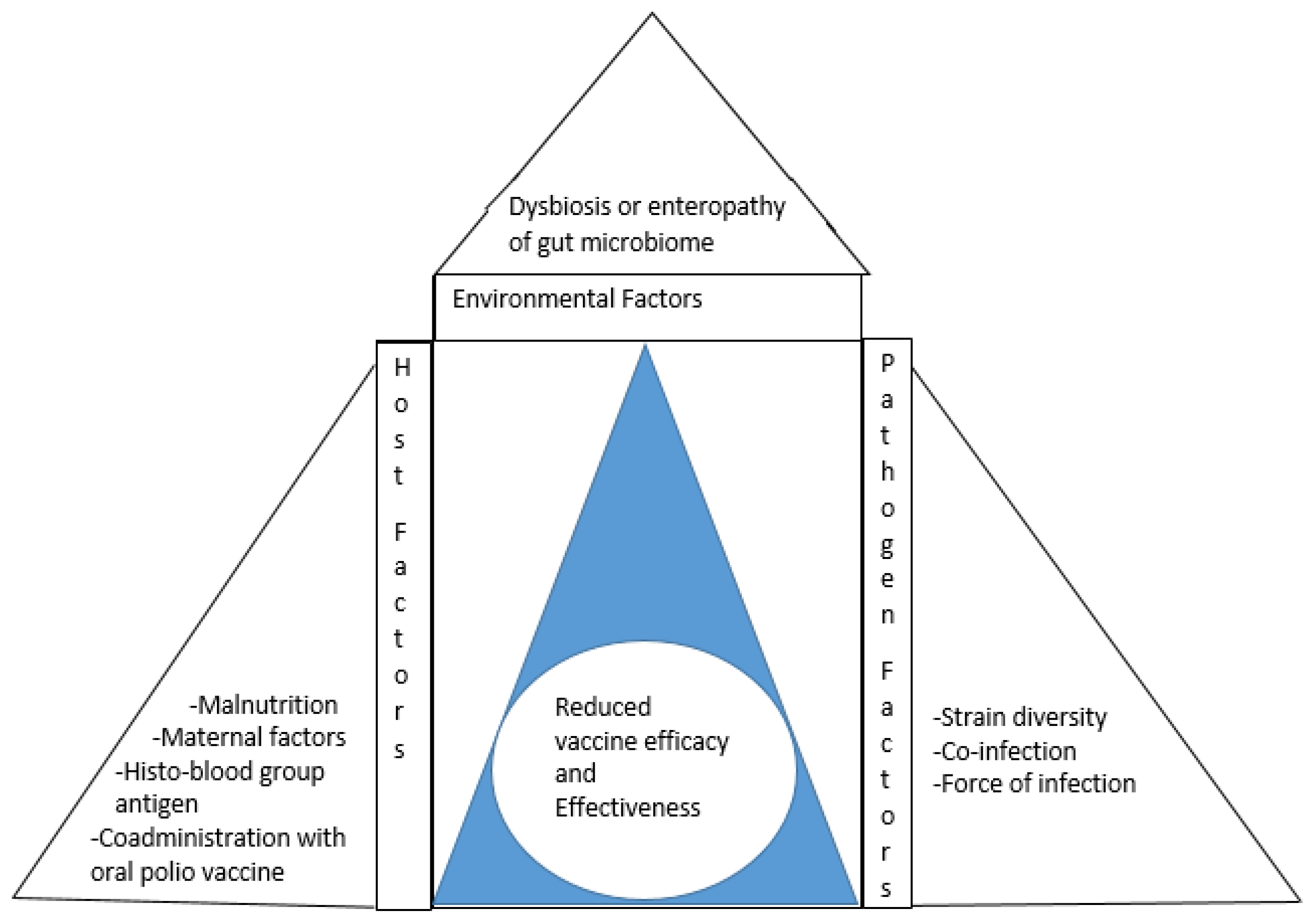 Viruses 14 00875 g003