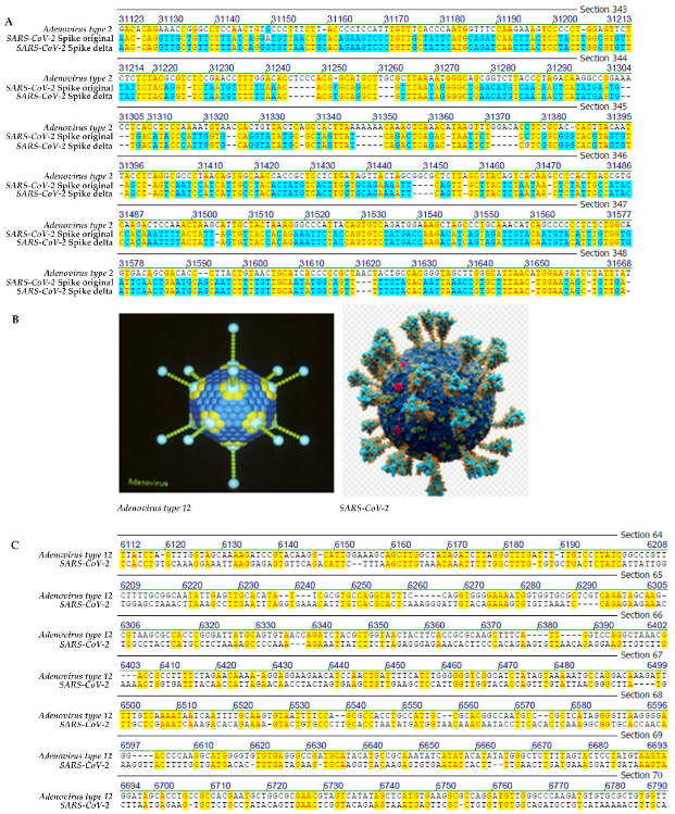 Viruses 14 00885 g001