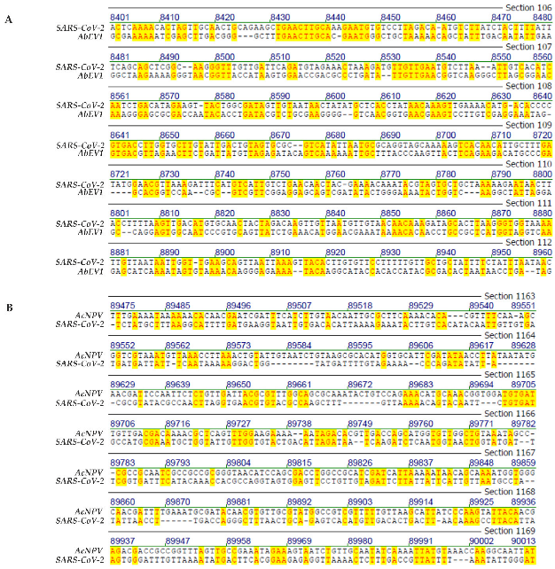 Viruses 14 00885 g003