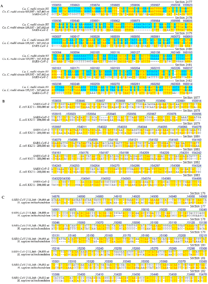 Viruses 14 00885 g004