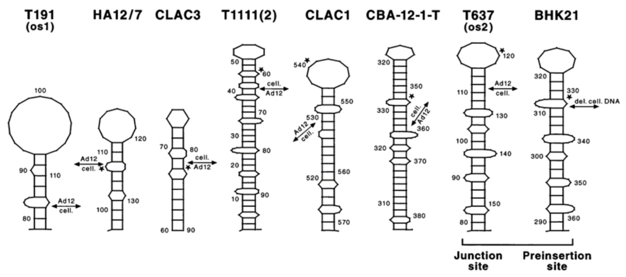 Viruses 14 00885 g009