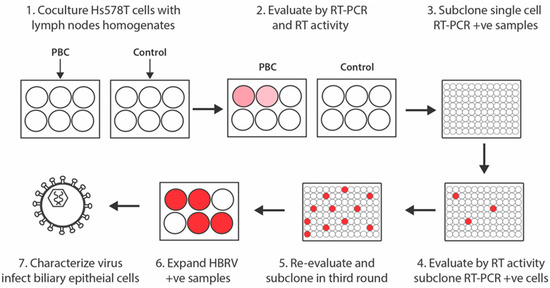 Viruses 14 00886 g001