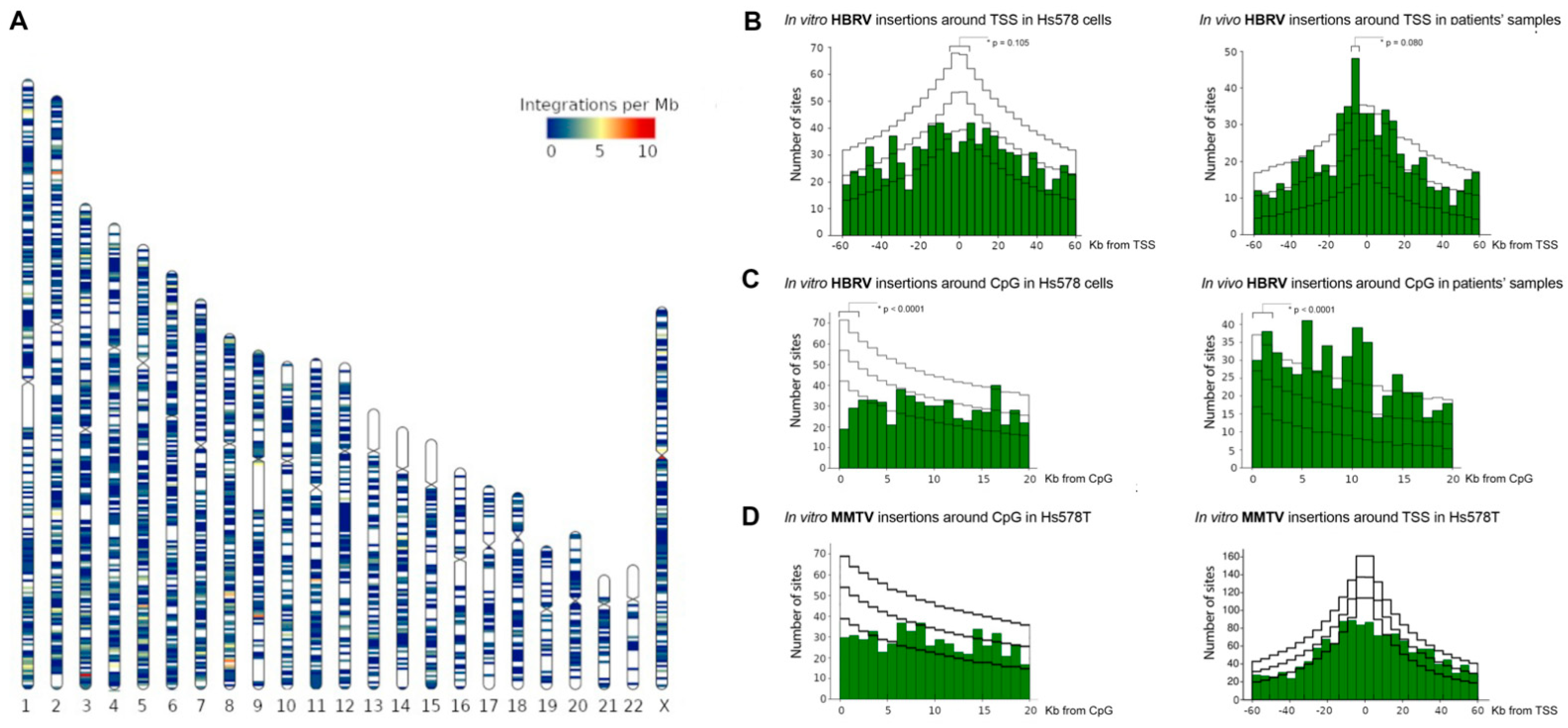 Viruses 14 00886 g004 Viruses 14 00886 g004