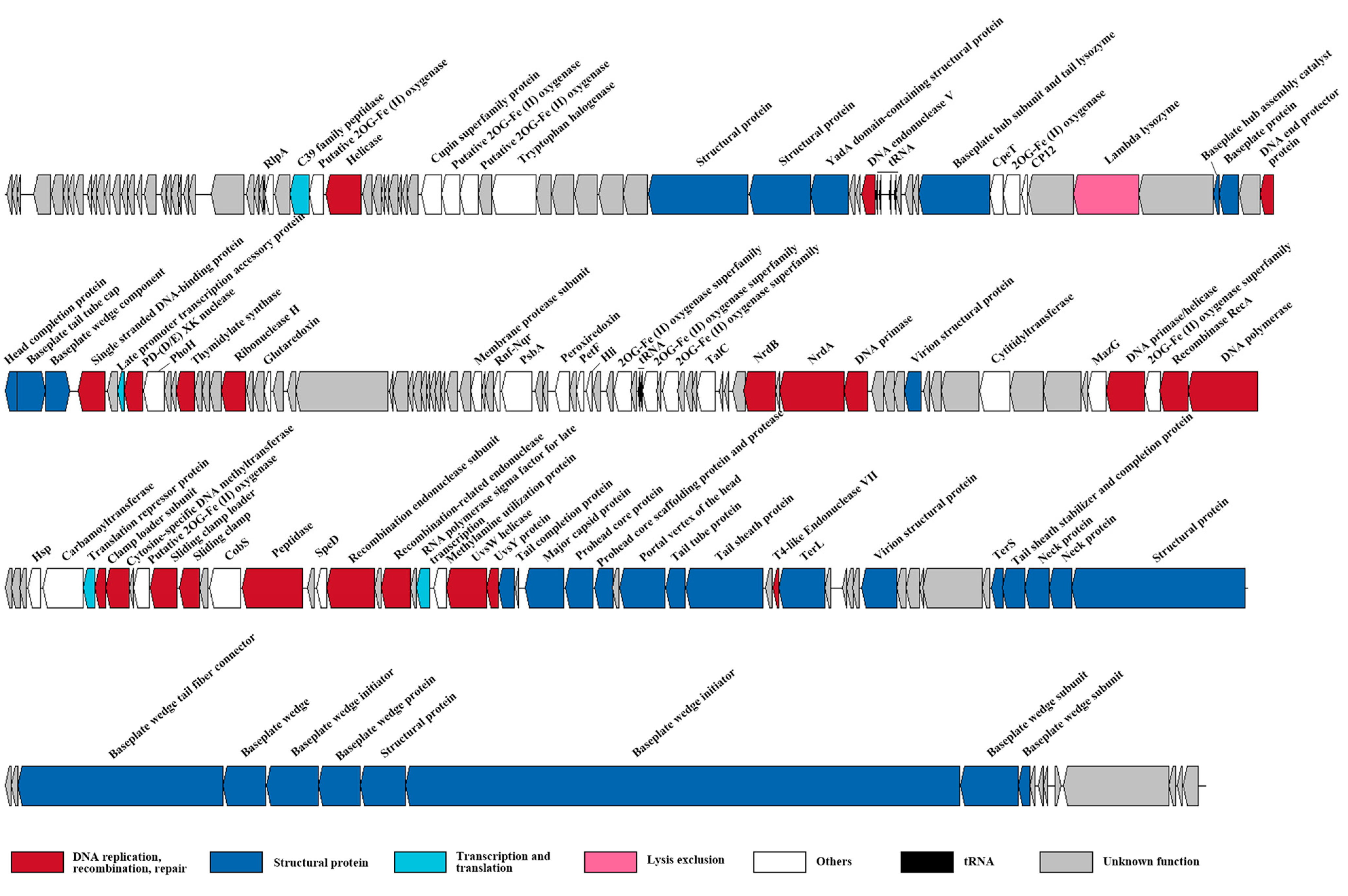 Viruses 14 00887 g002