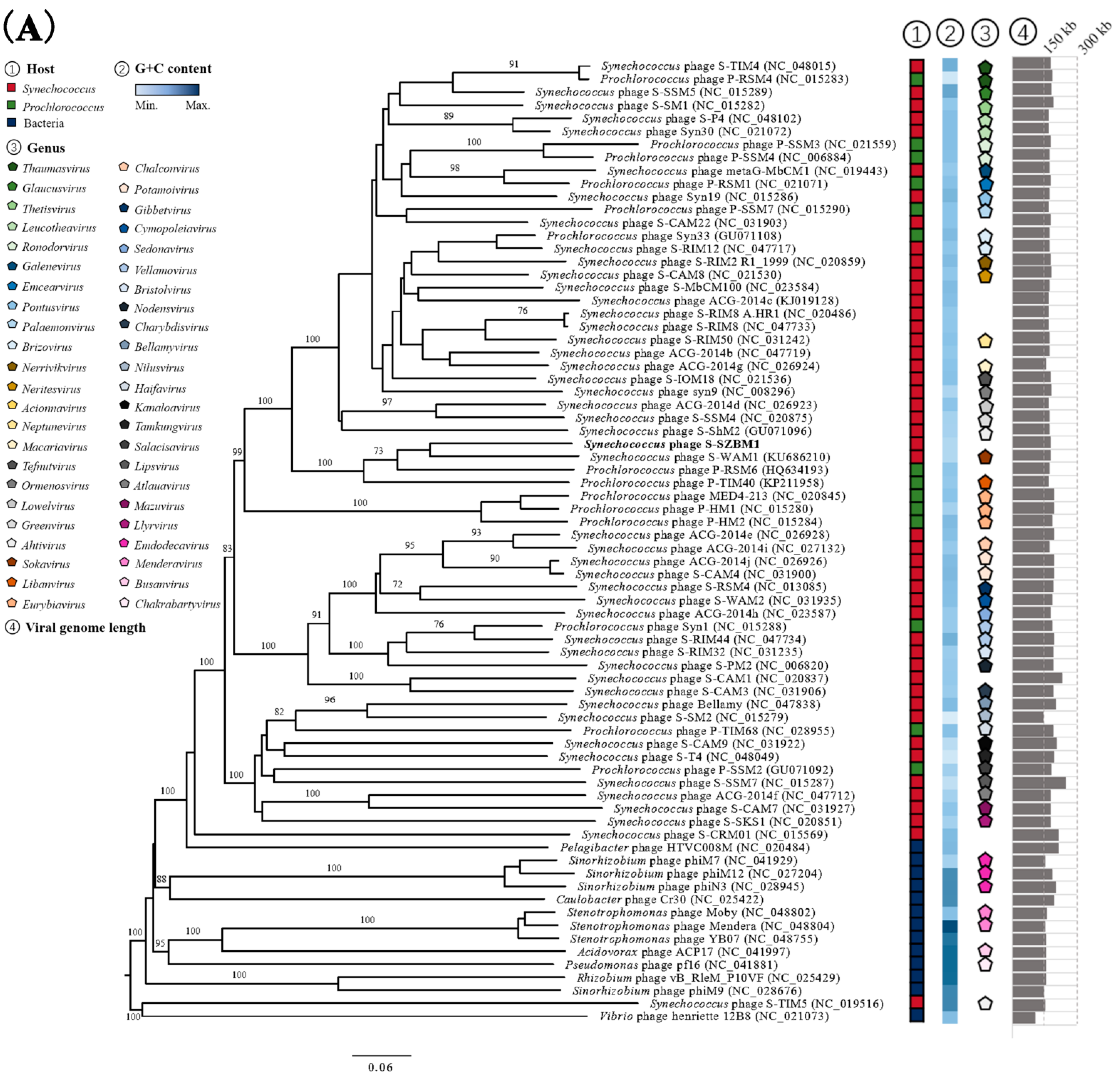 Viruses 14 00887 g003a