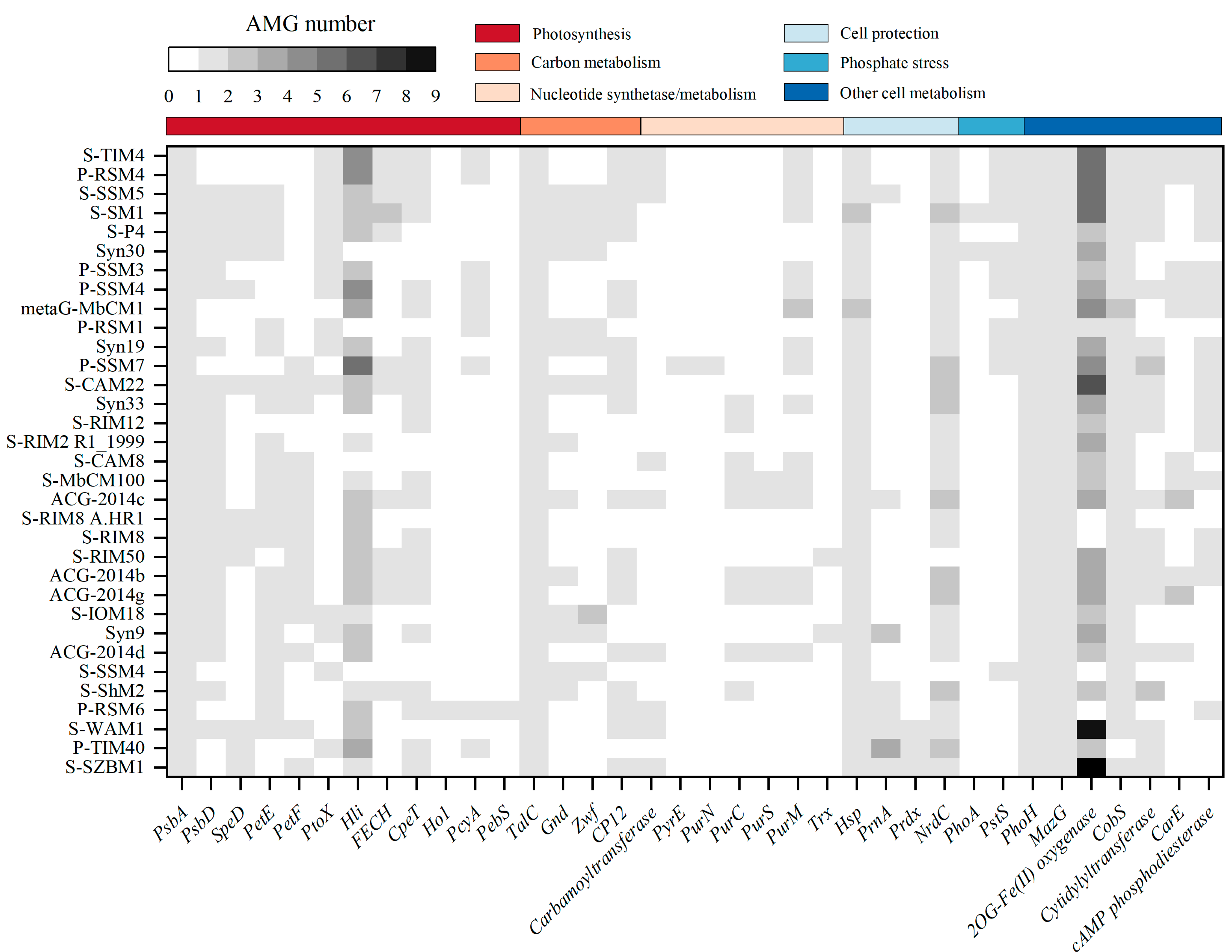Viruses 14 00887 g004
