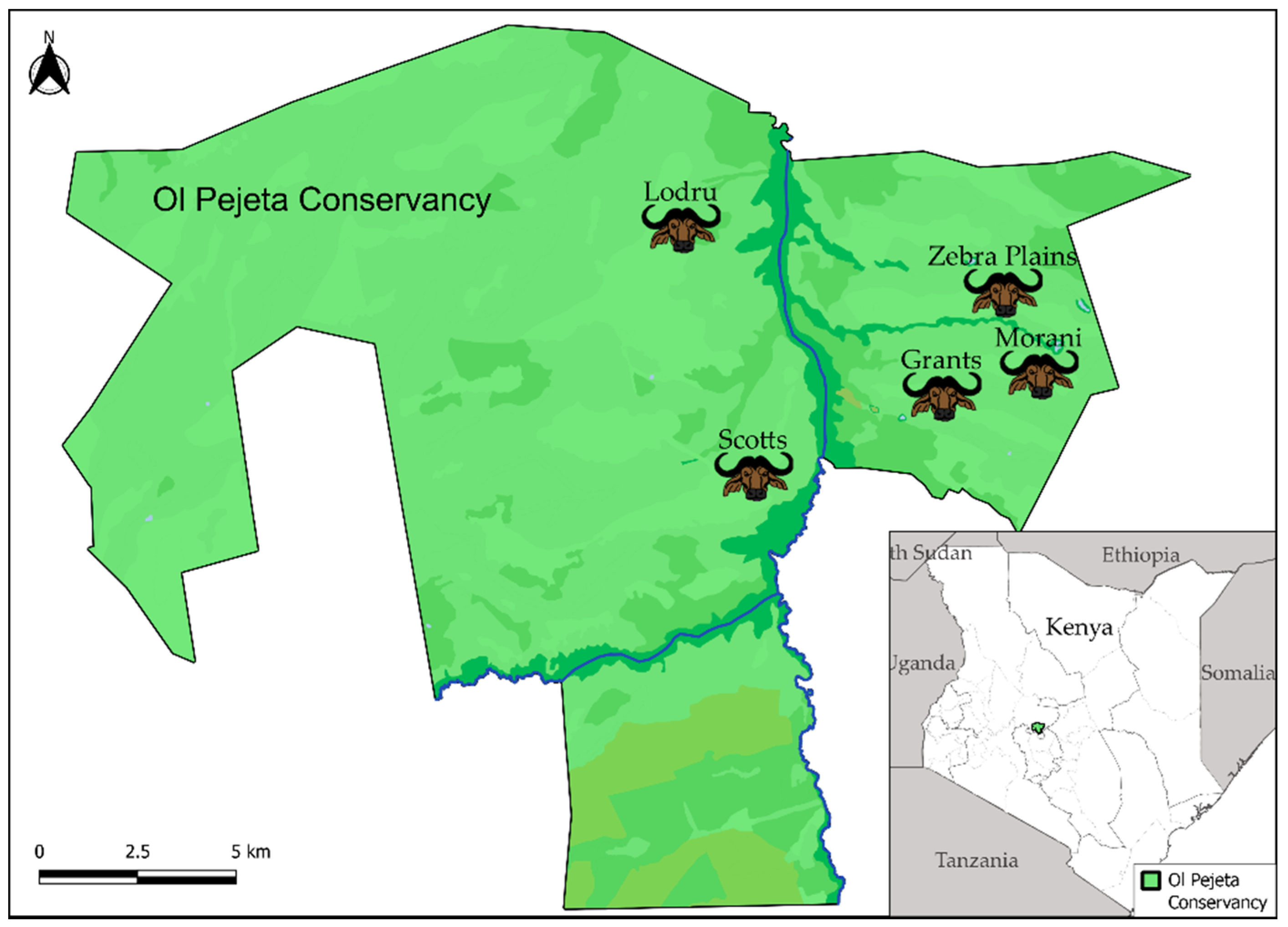 Viruses 14 00897 g001