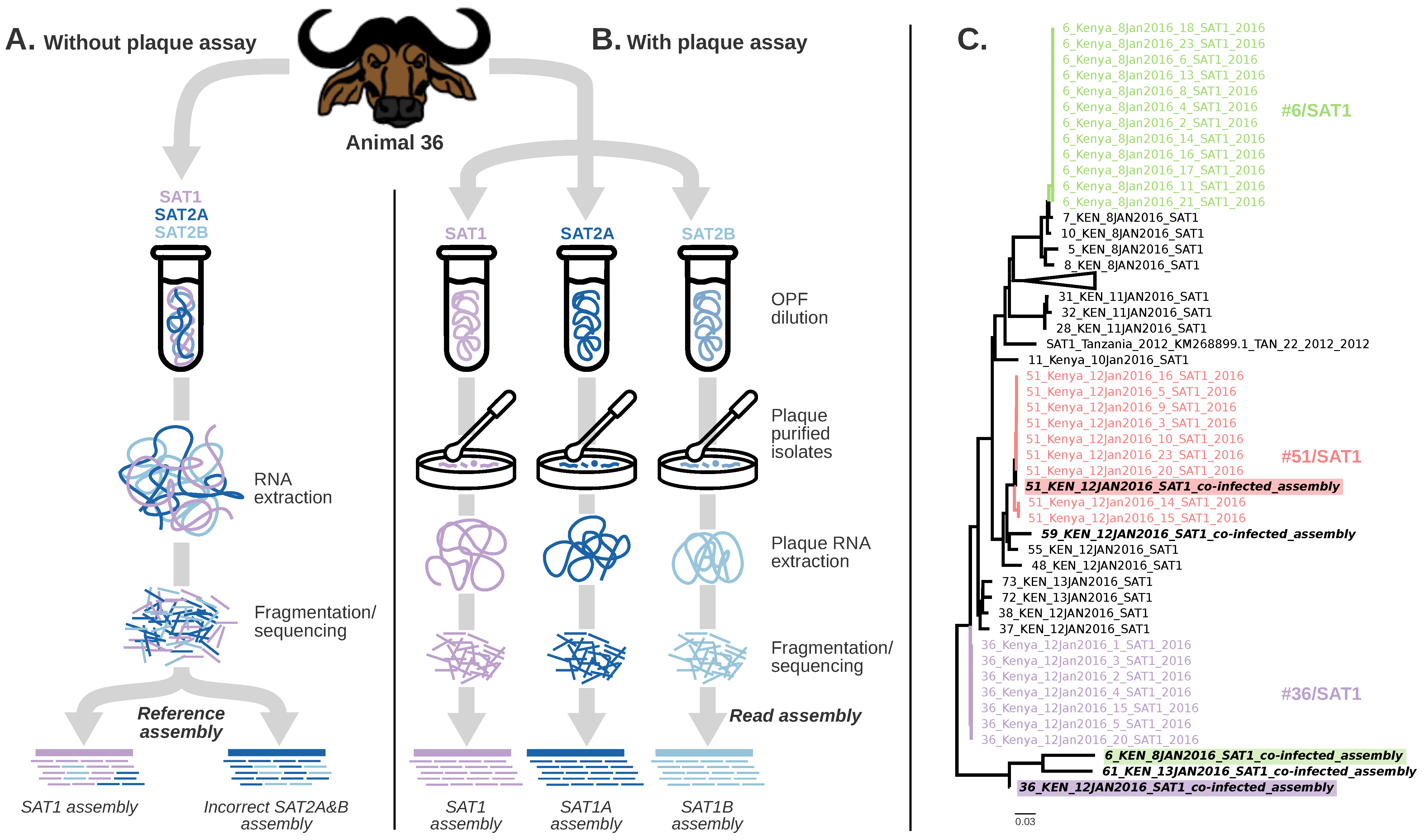 Viruses 14 00897 g002