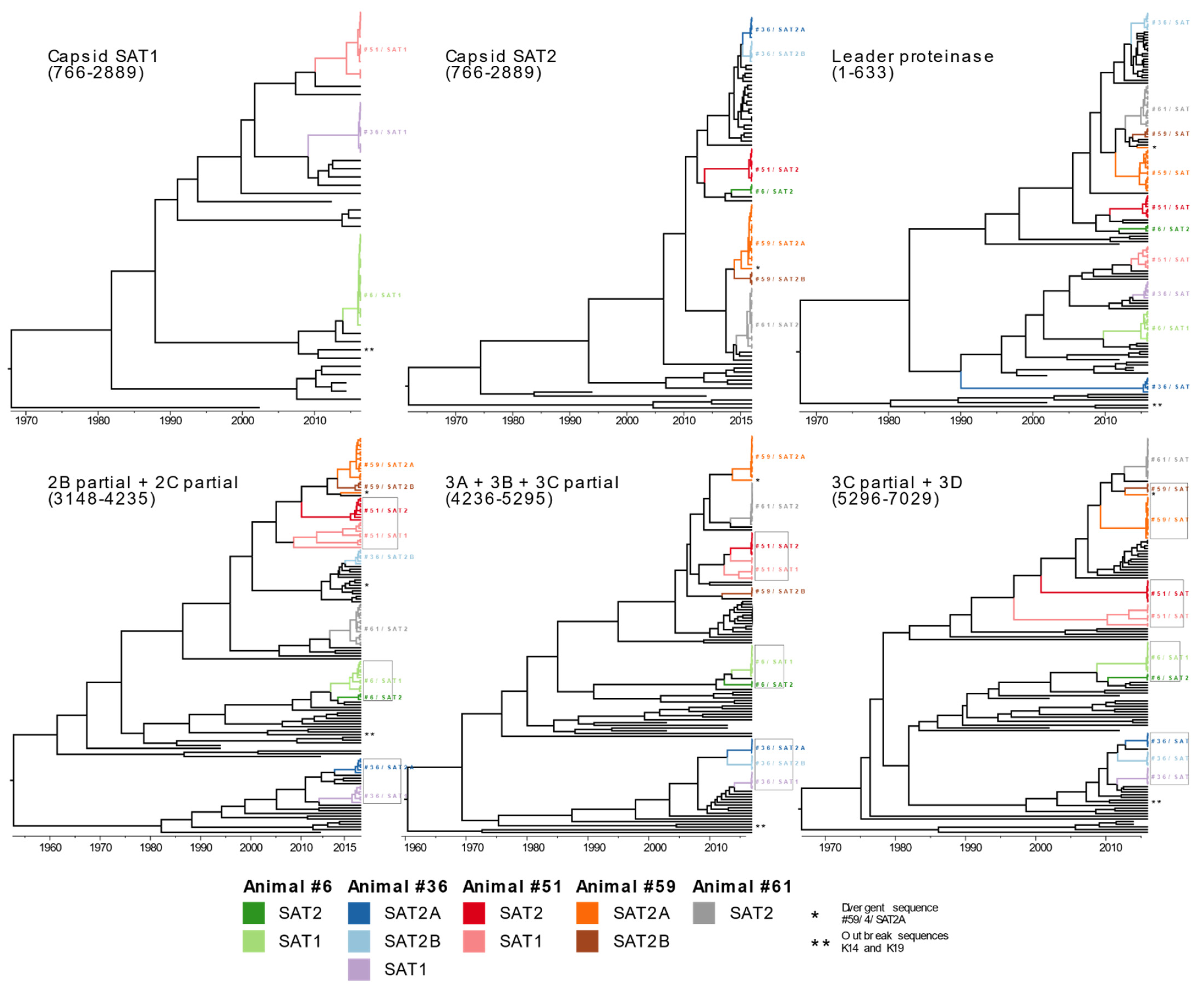Viruses 14 00897 g003