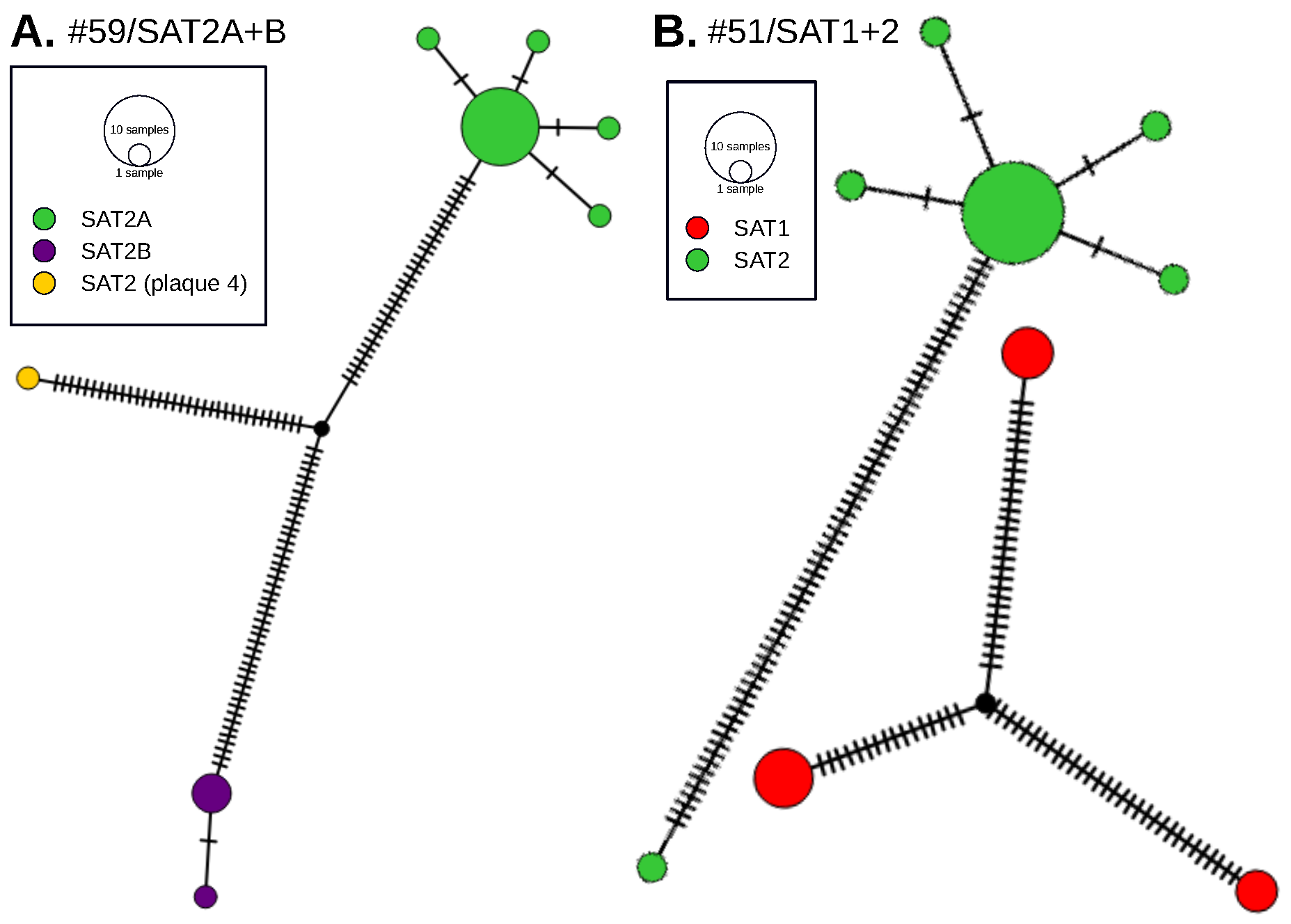 Viruses 14 00897 g004