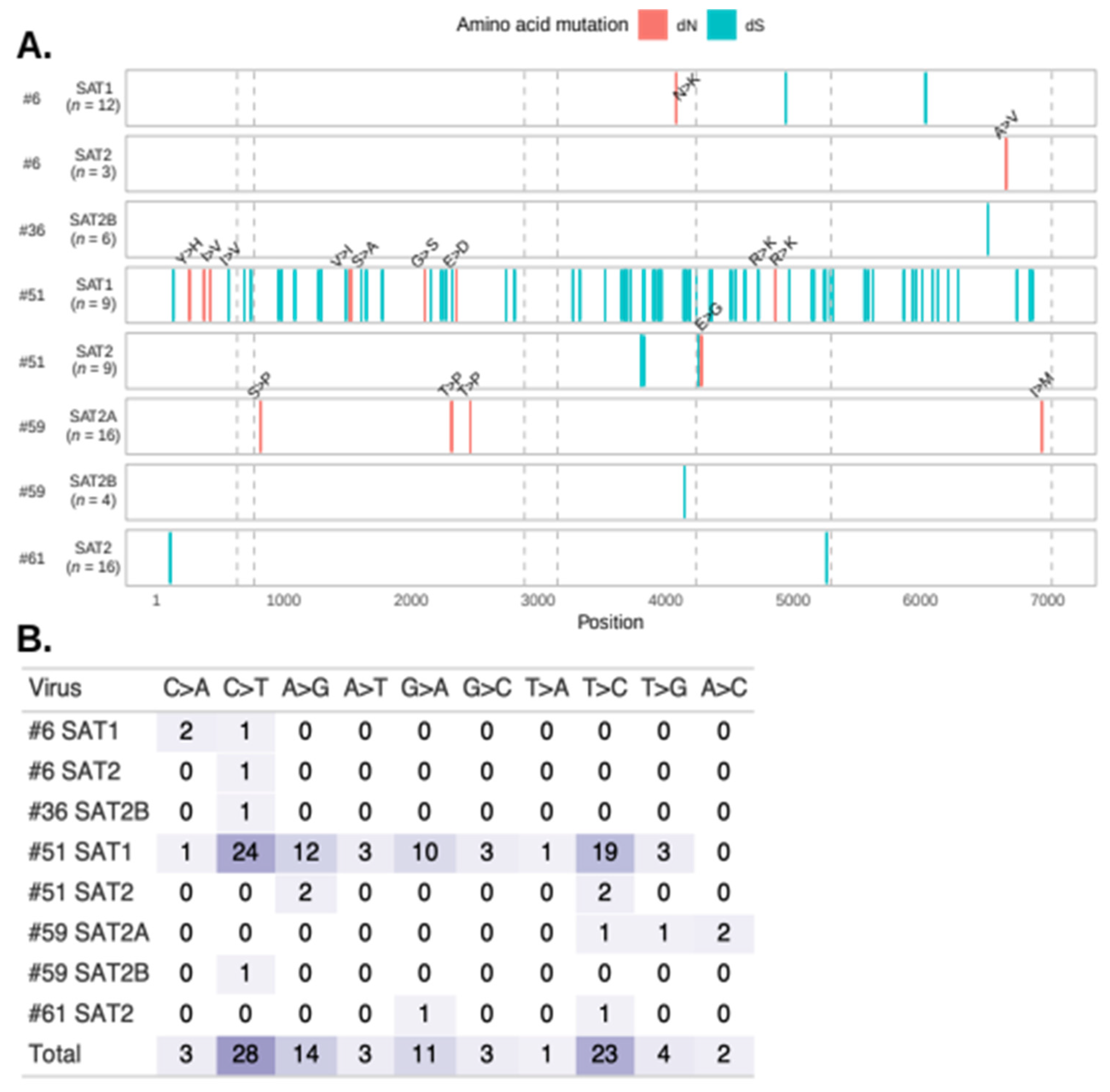 Viruses 14 00897 g005