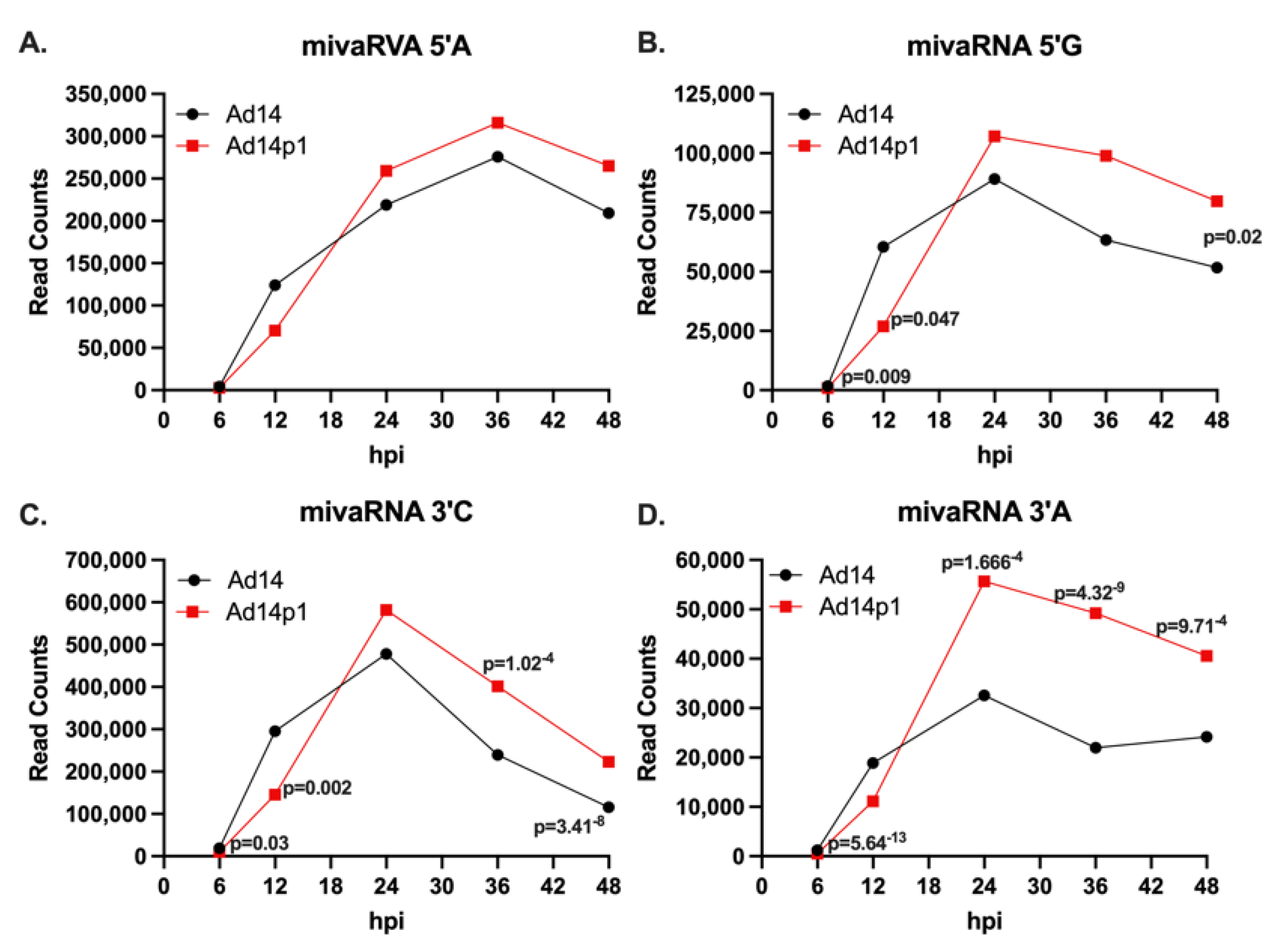 Viruses 14 00898 g005 Viruses 14 00898 g005