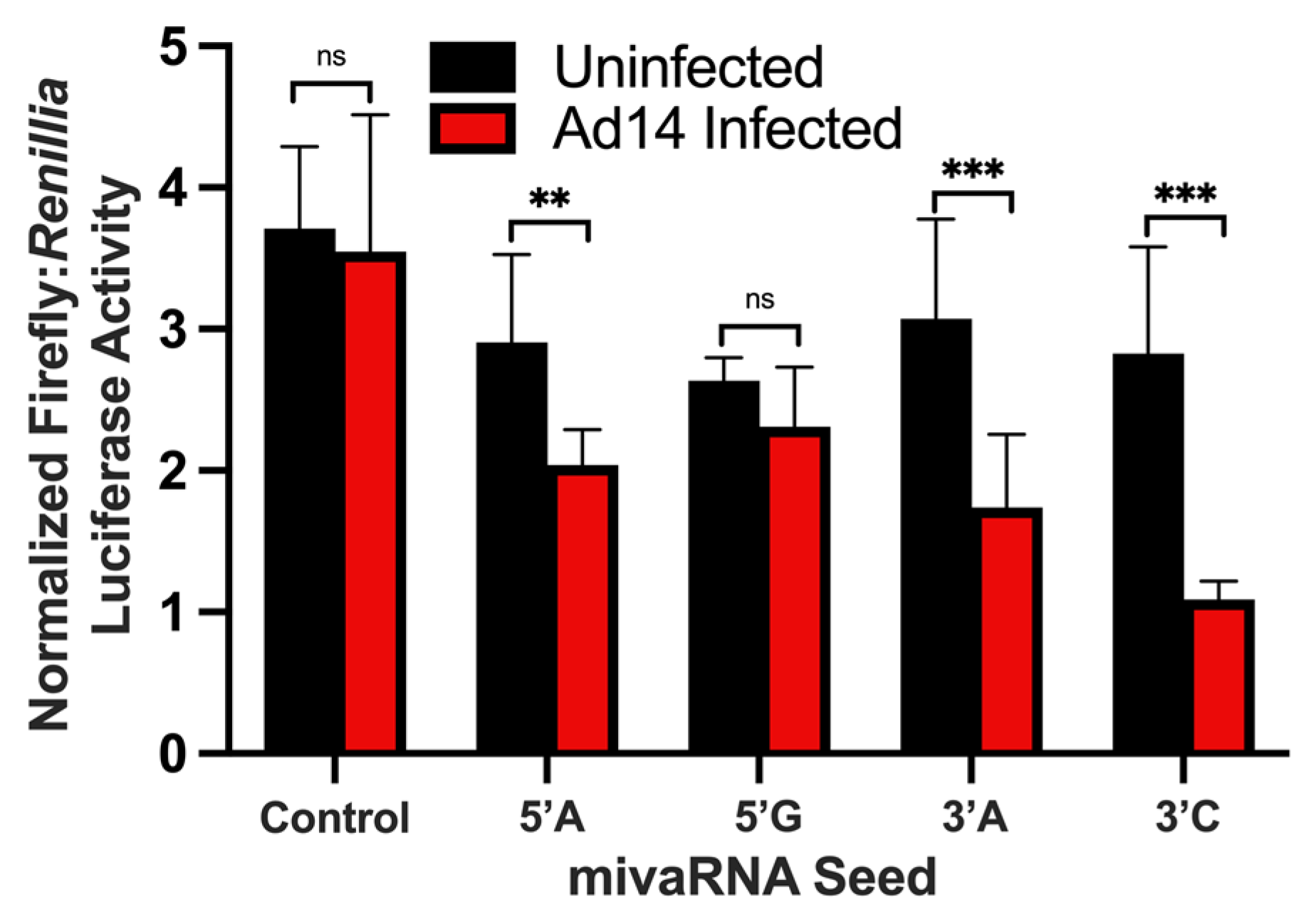 Viruses 14 00898 g006 Viruses 14 00898 g006