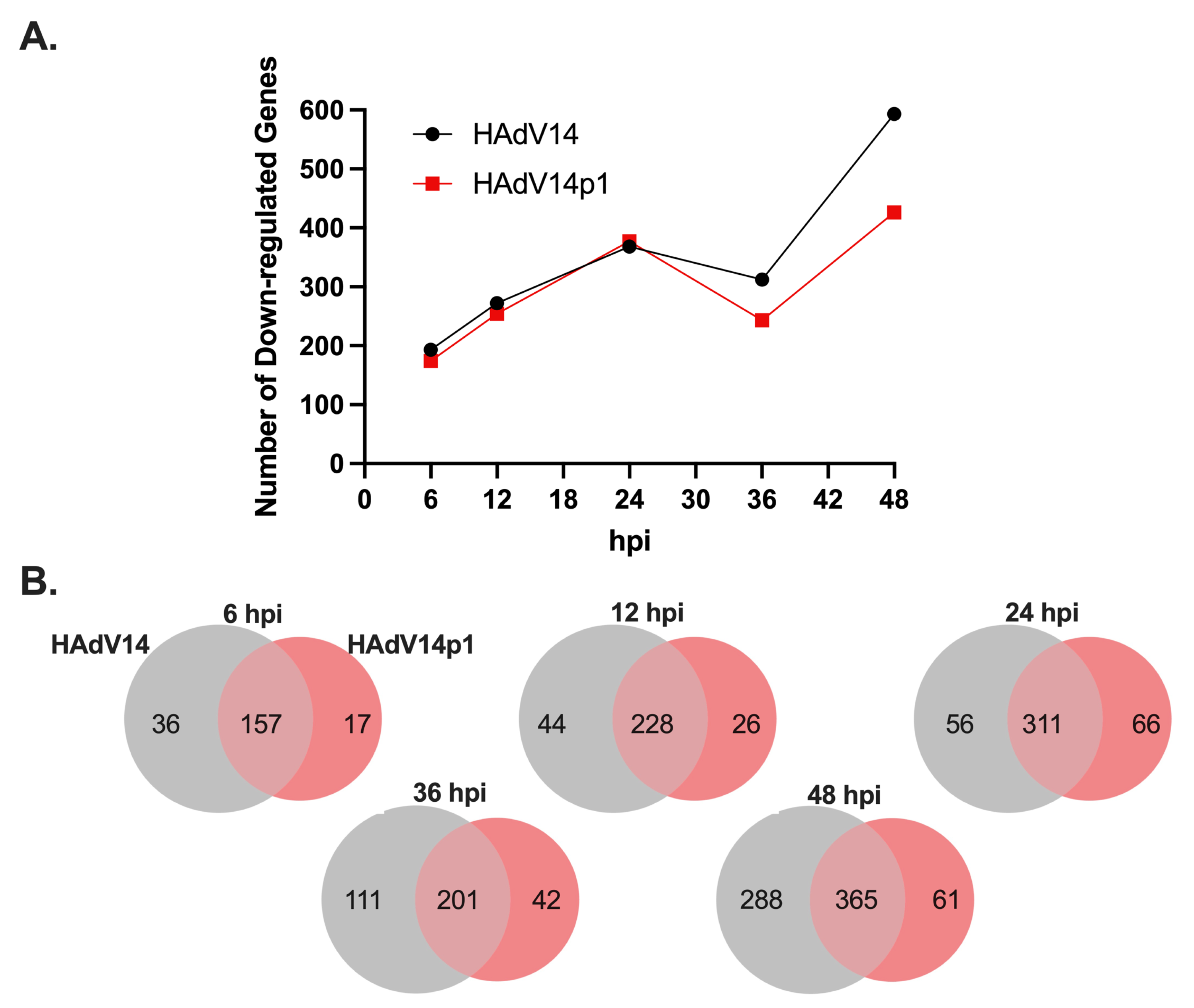 Viruses 14 00898 g007 Viruses 14 00898 g007