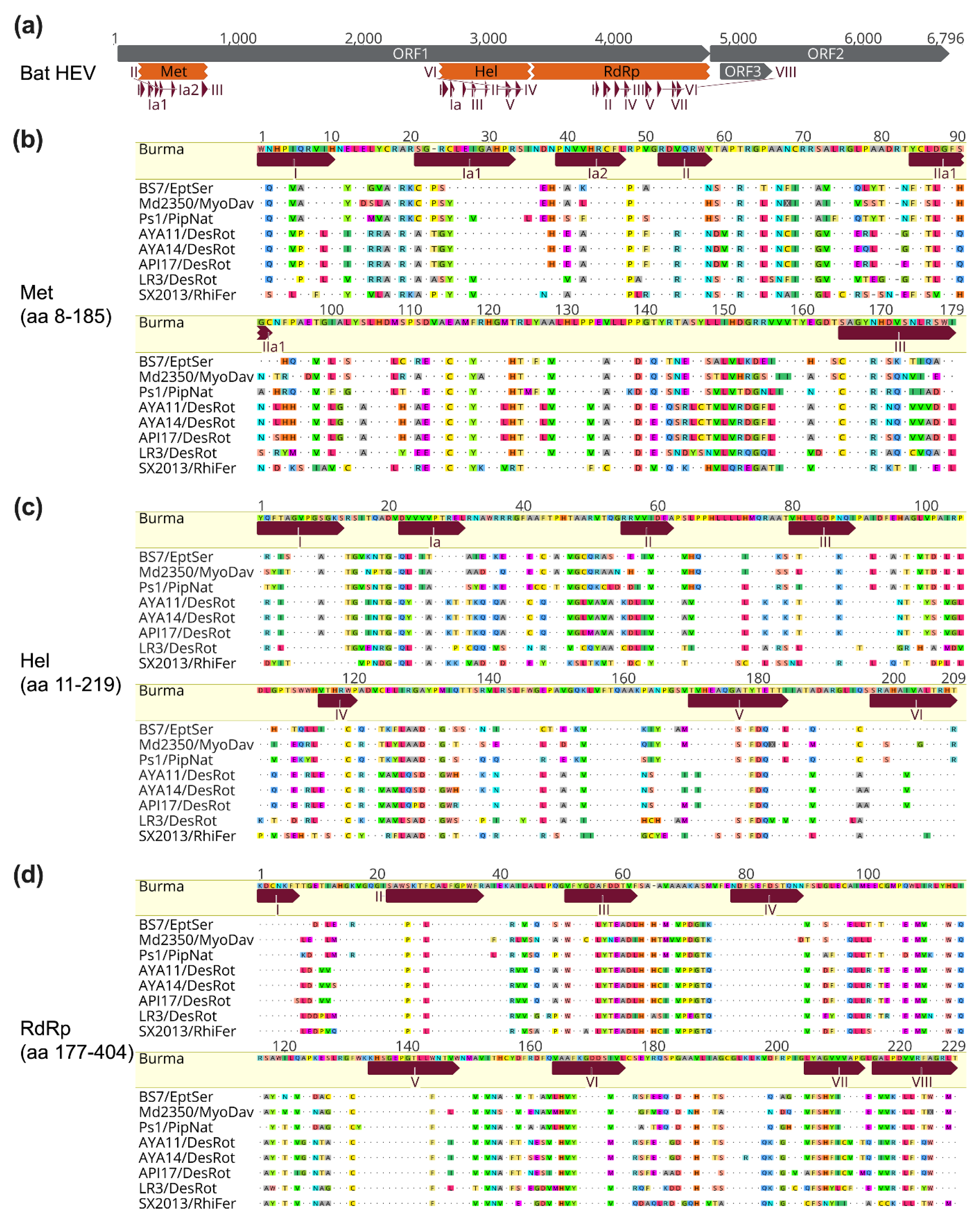 Viruses 14 00905 g004