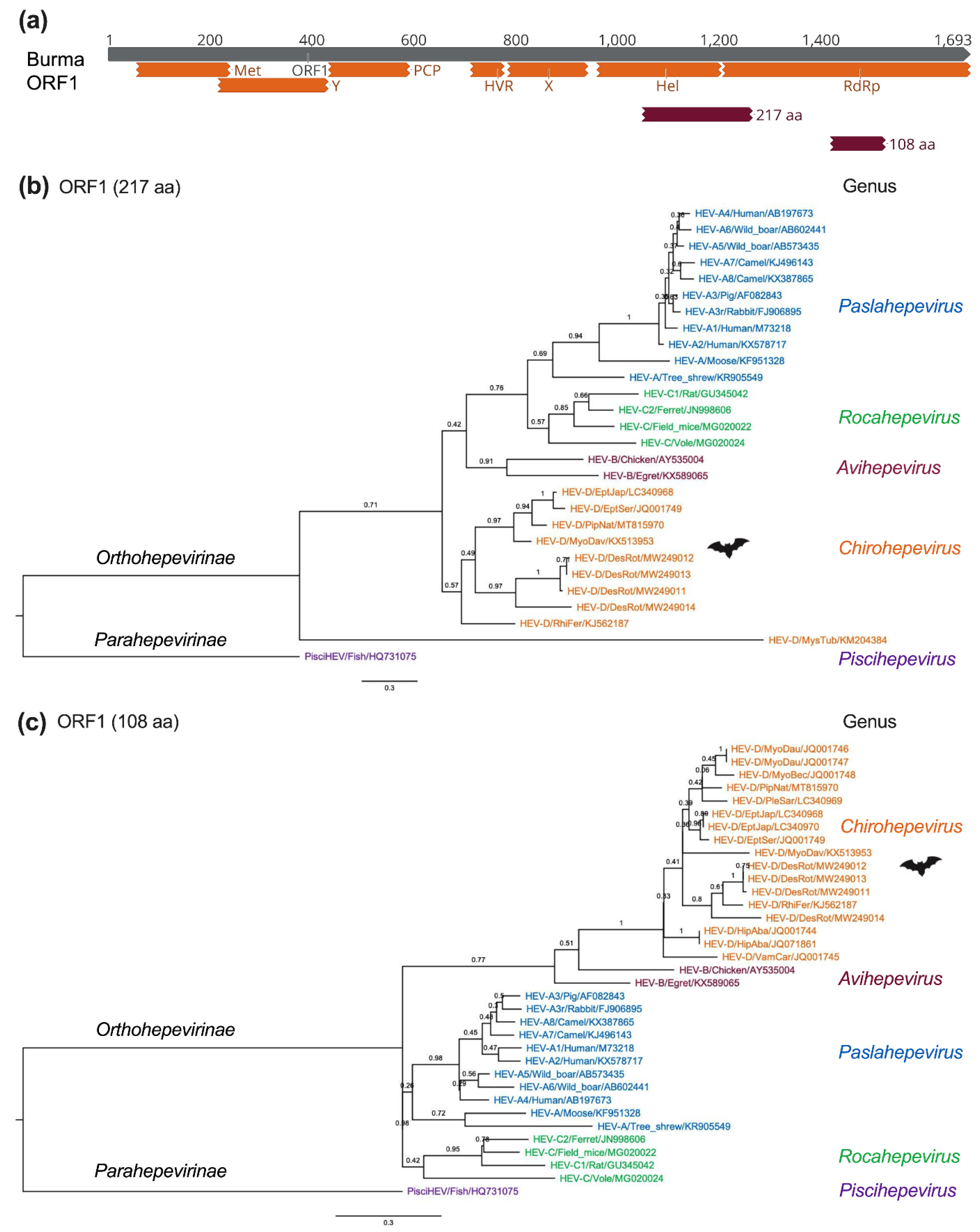 Viruses 14 00905 g005