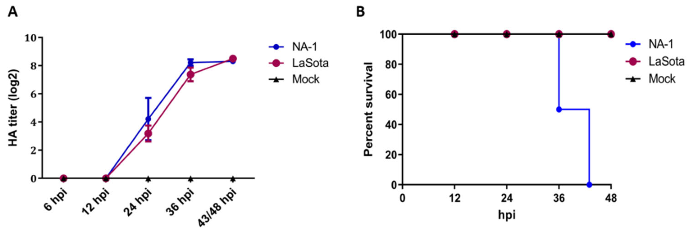 Viruses 14 00911 g001