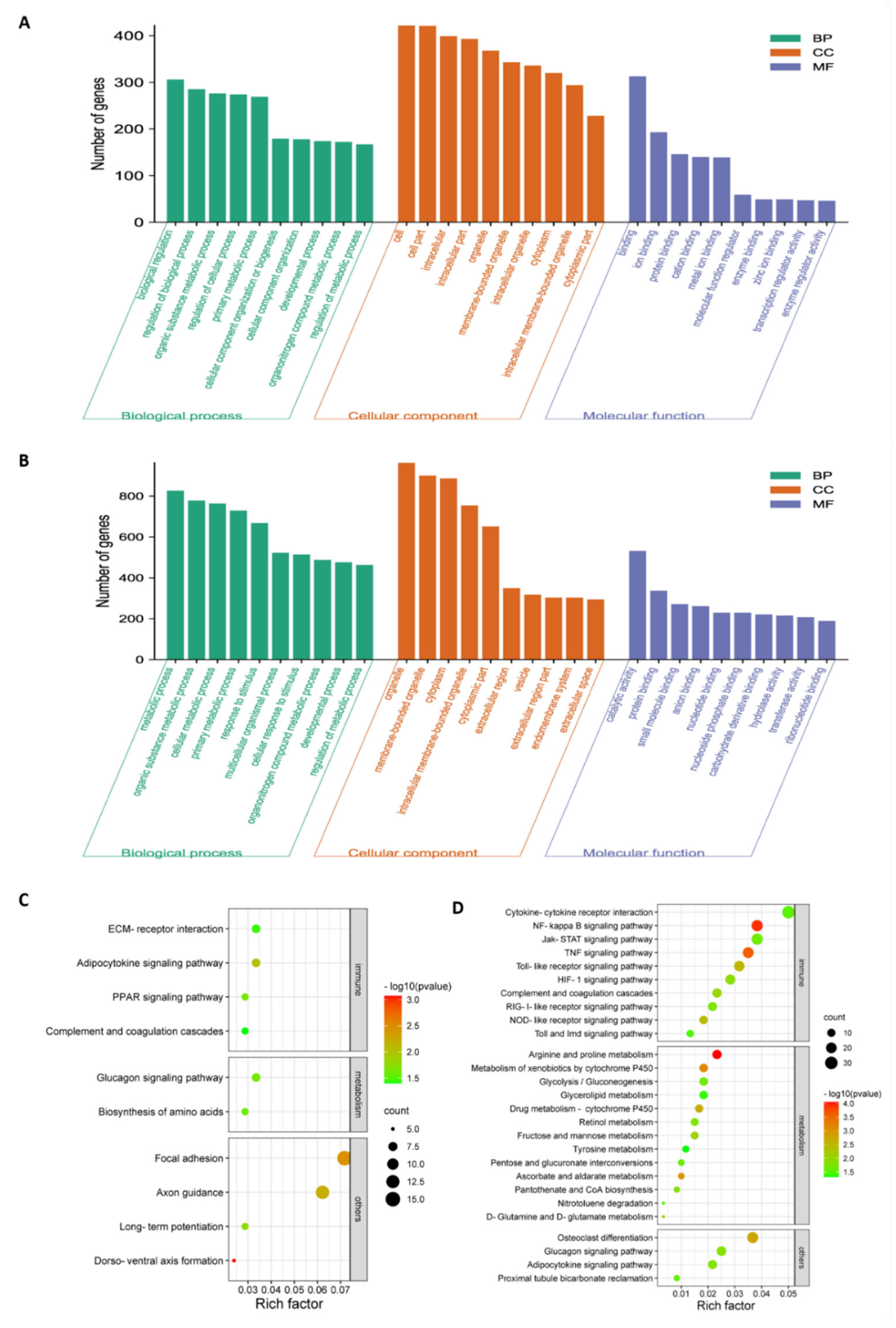 Viruses 14 00911 g003
