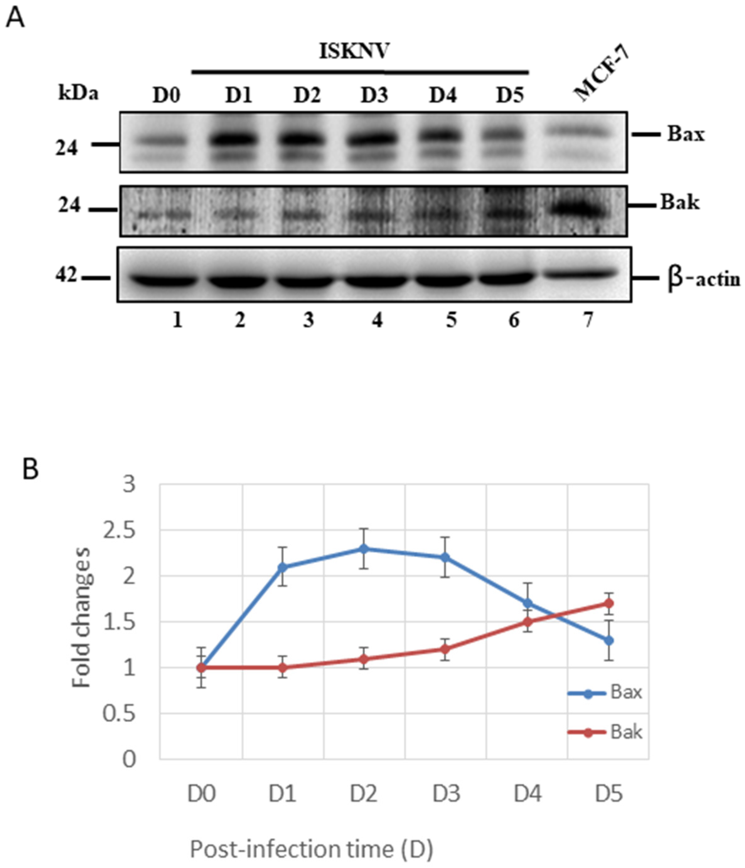 Viruses 14 00922 g004