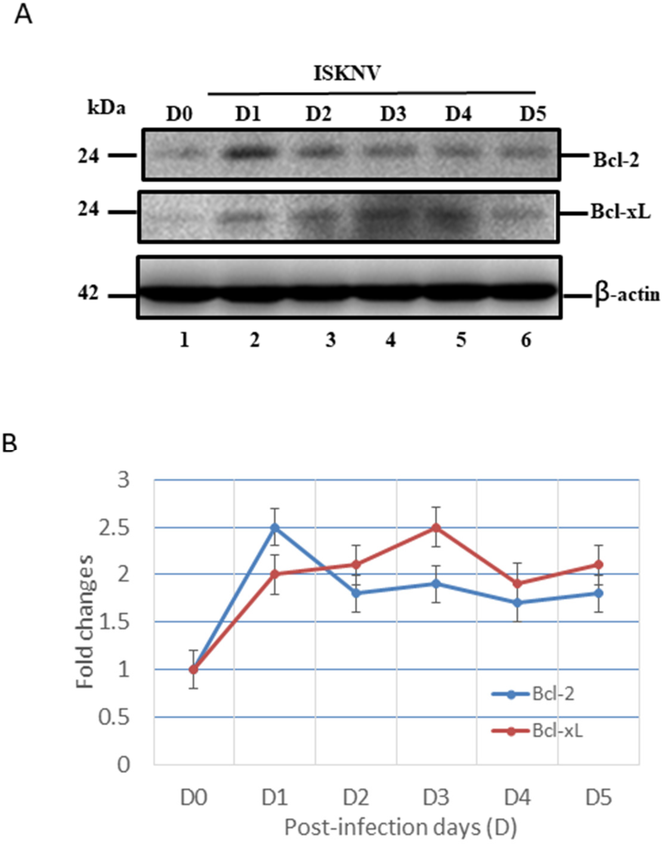 Viruses 14 00922 g005