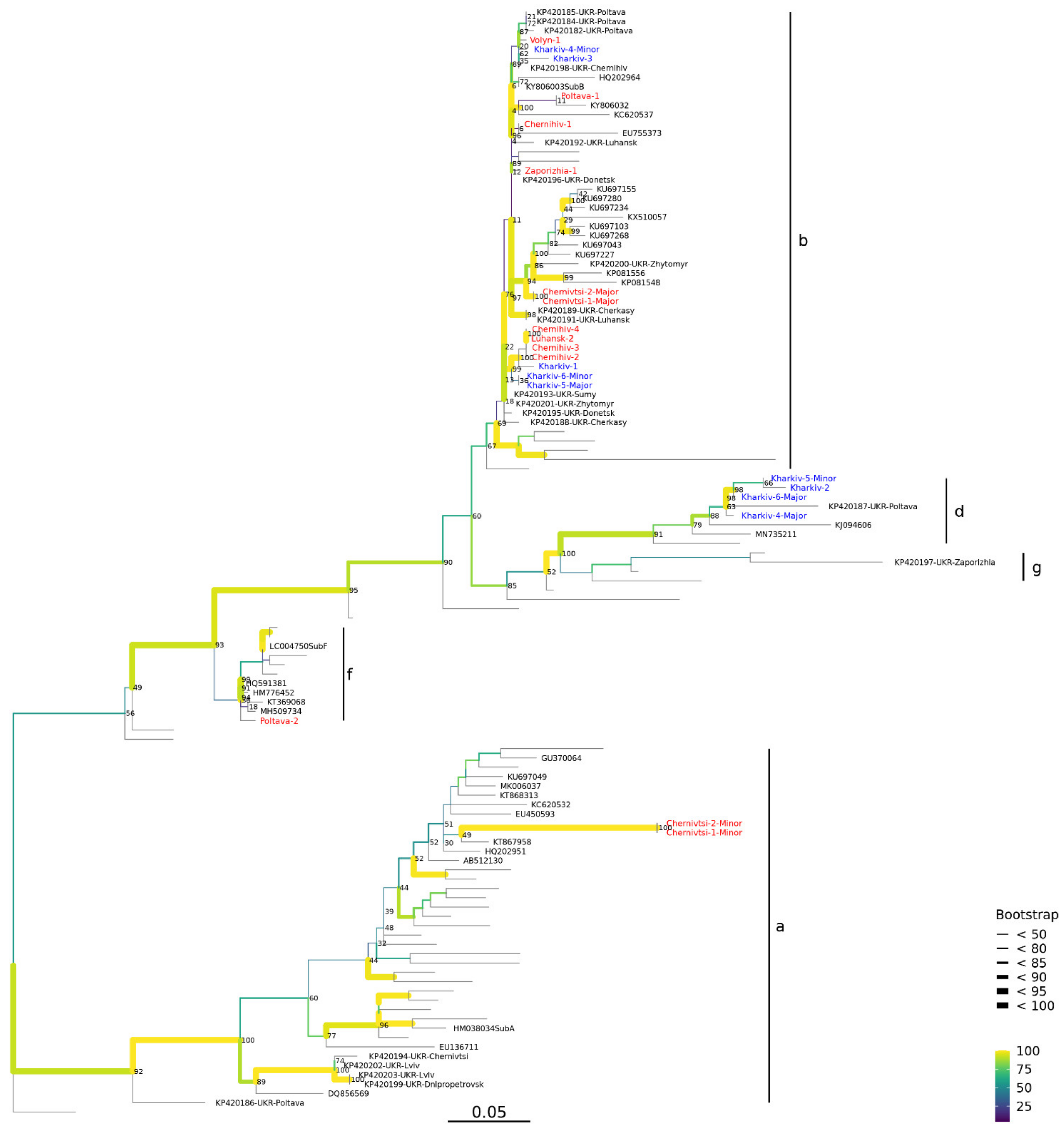 Viruses 14 00924 g002