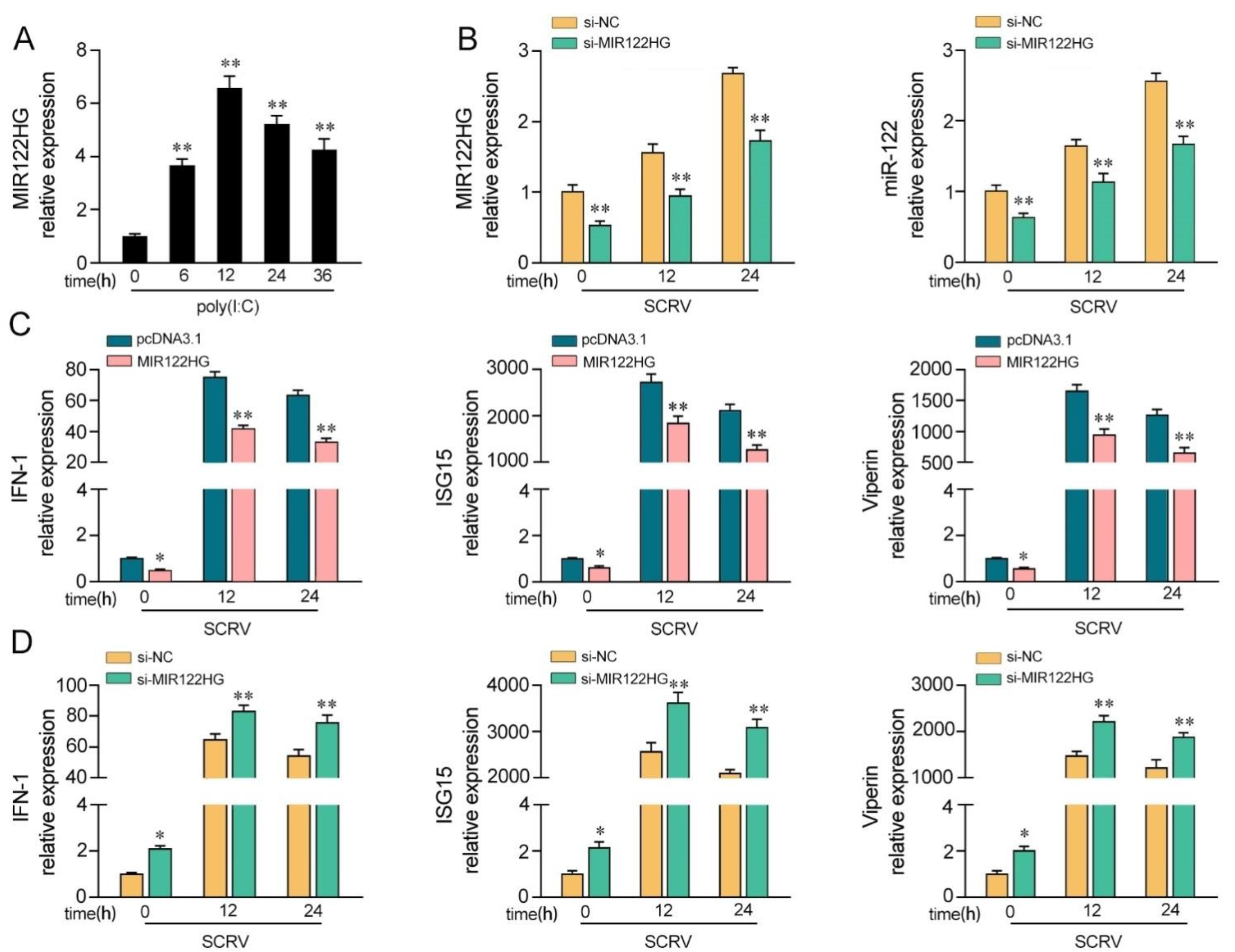 Viruses 14 00930 g001
