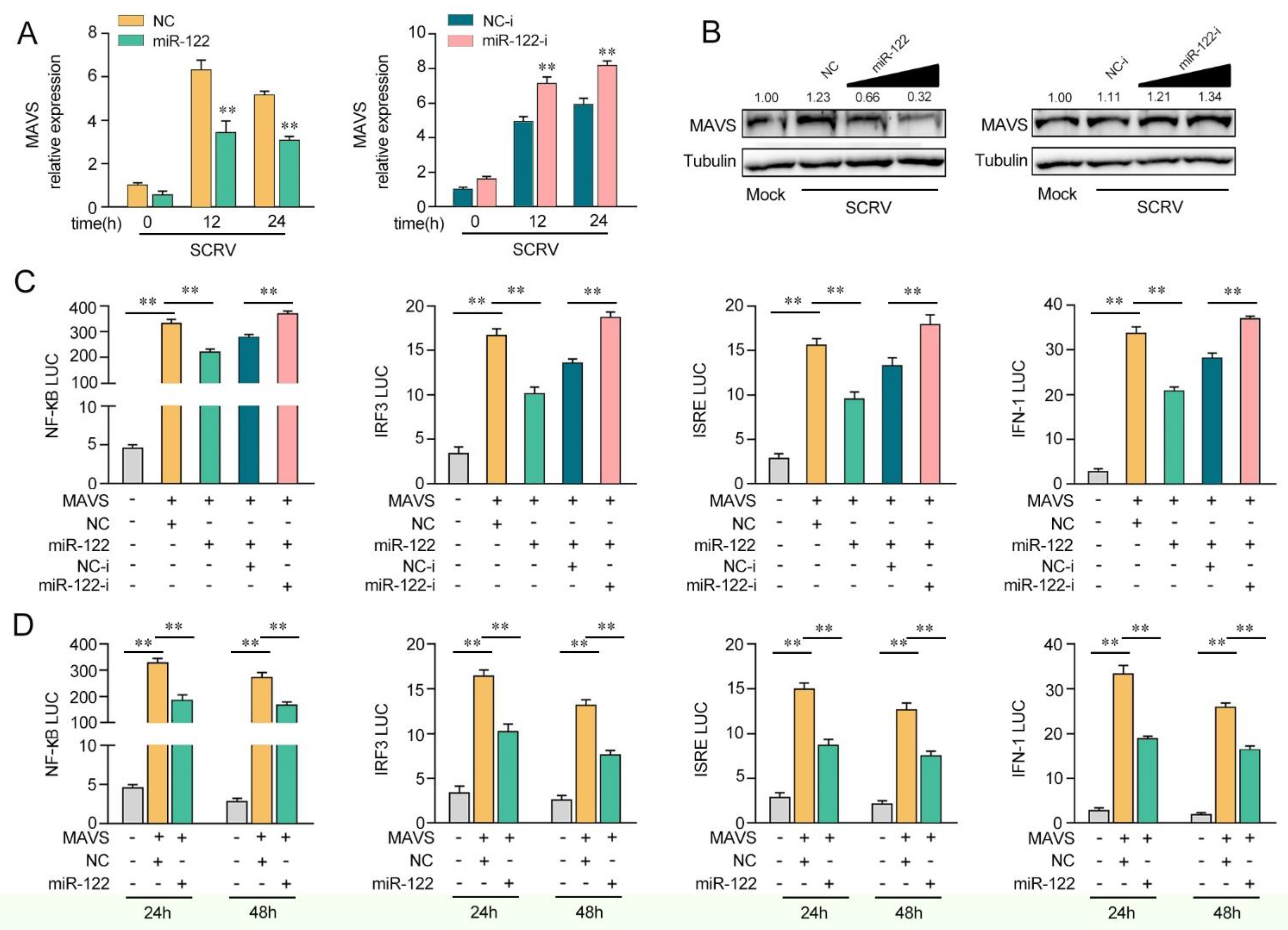 Viruses 14 00930 g004