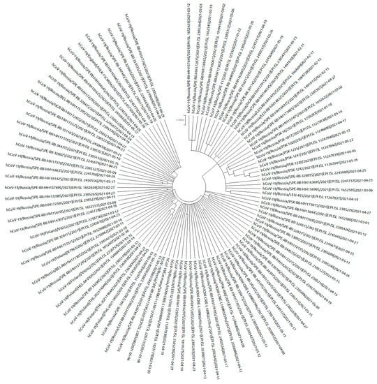 Viruses 14 00931 g009 550