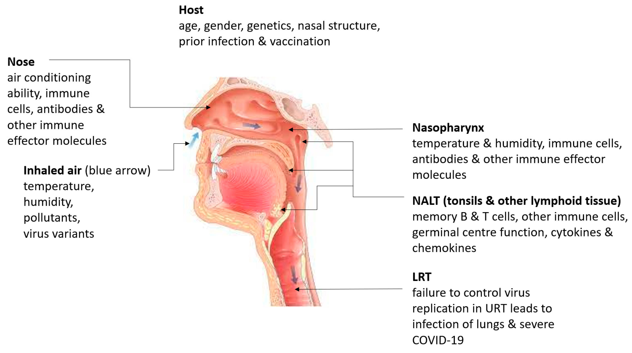 Viruses 14 00933 g003