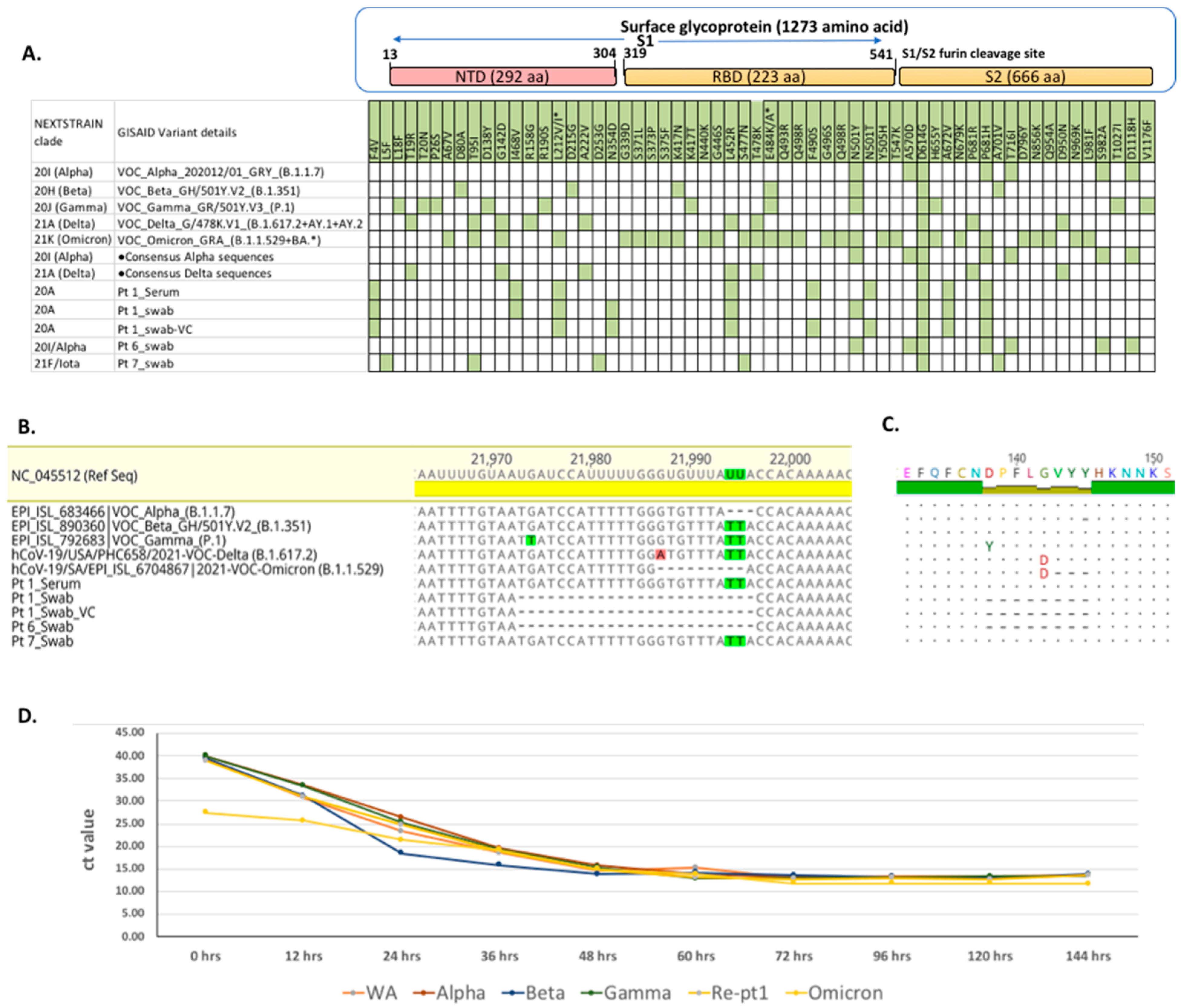 Viruses 14 00934 g002