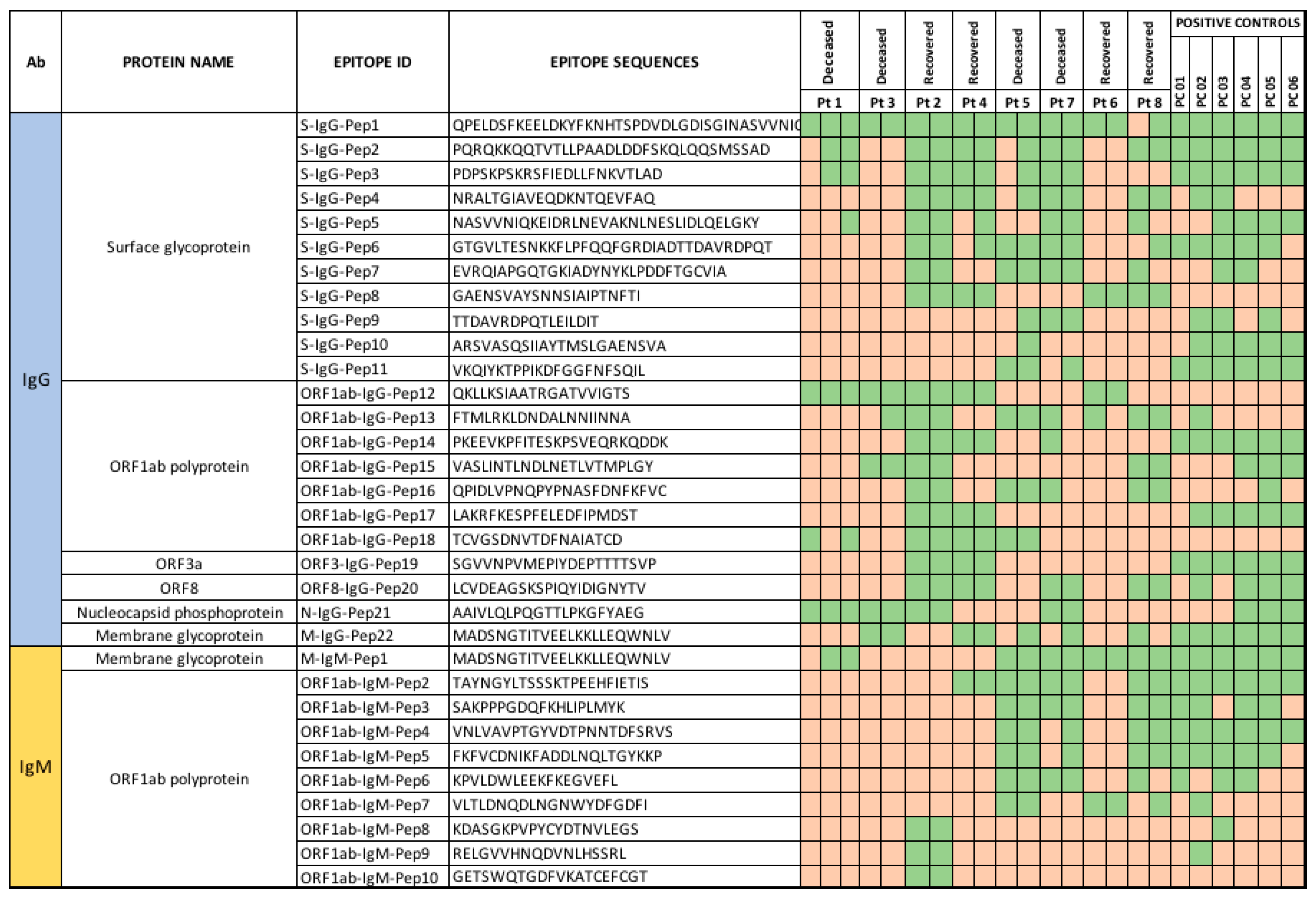 Viruses 14 00934 g003