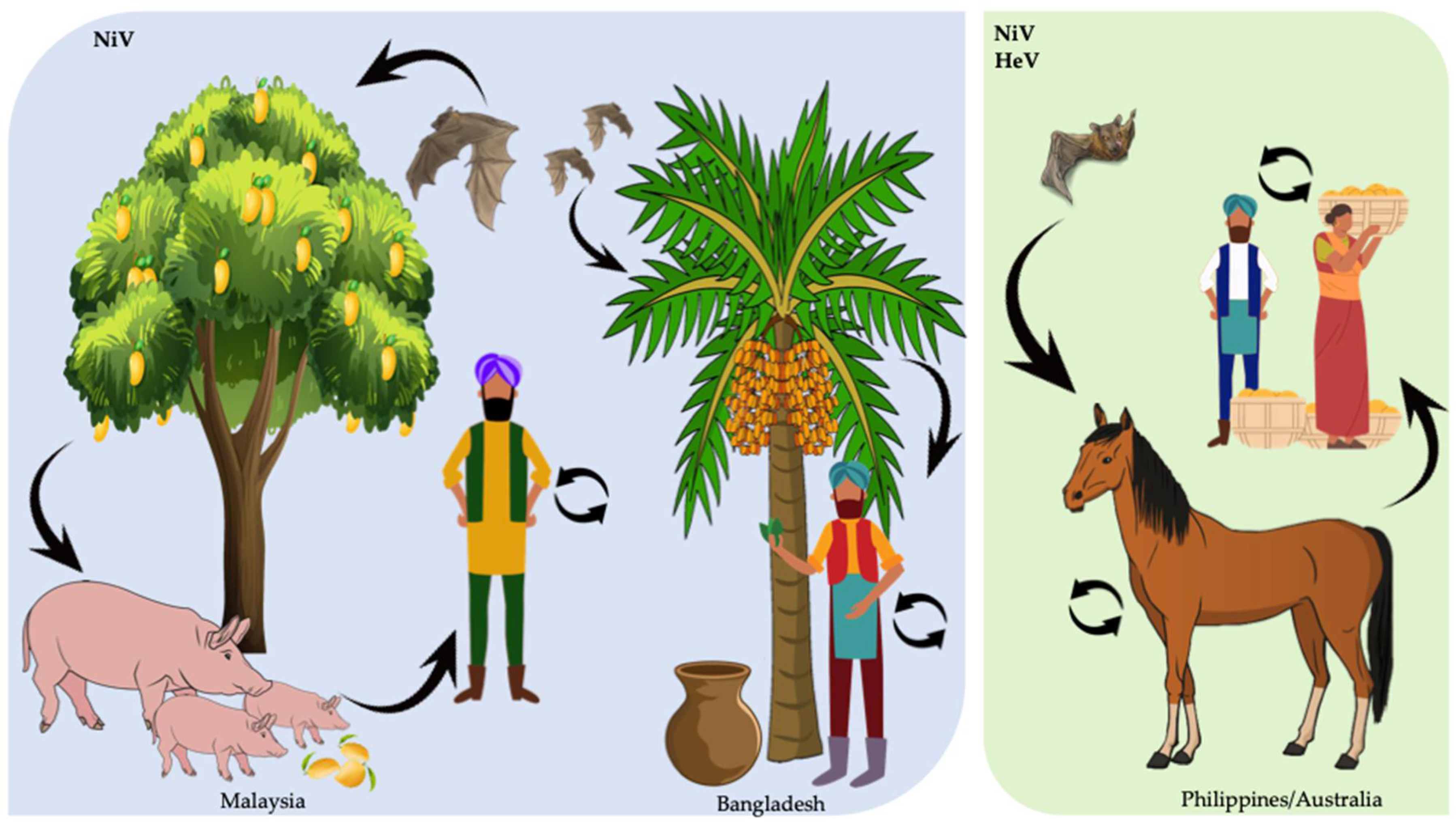 Viruses 14 00936 g002