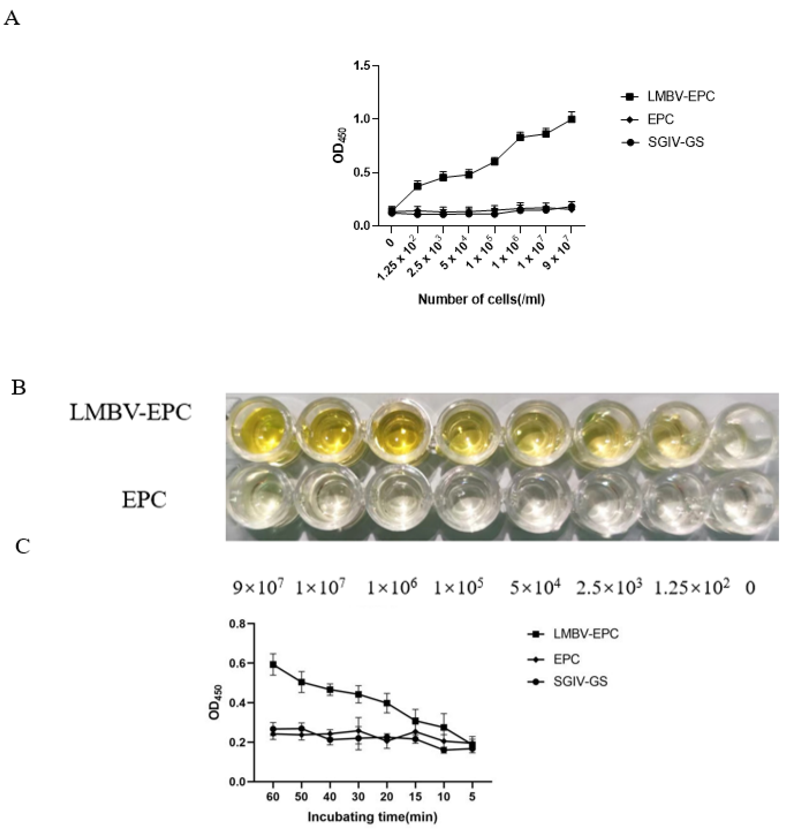 Viruses 14 00945 g005