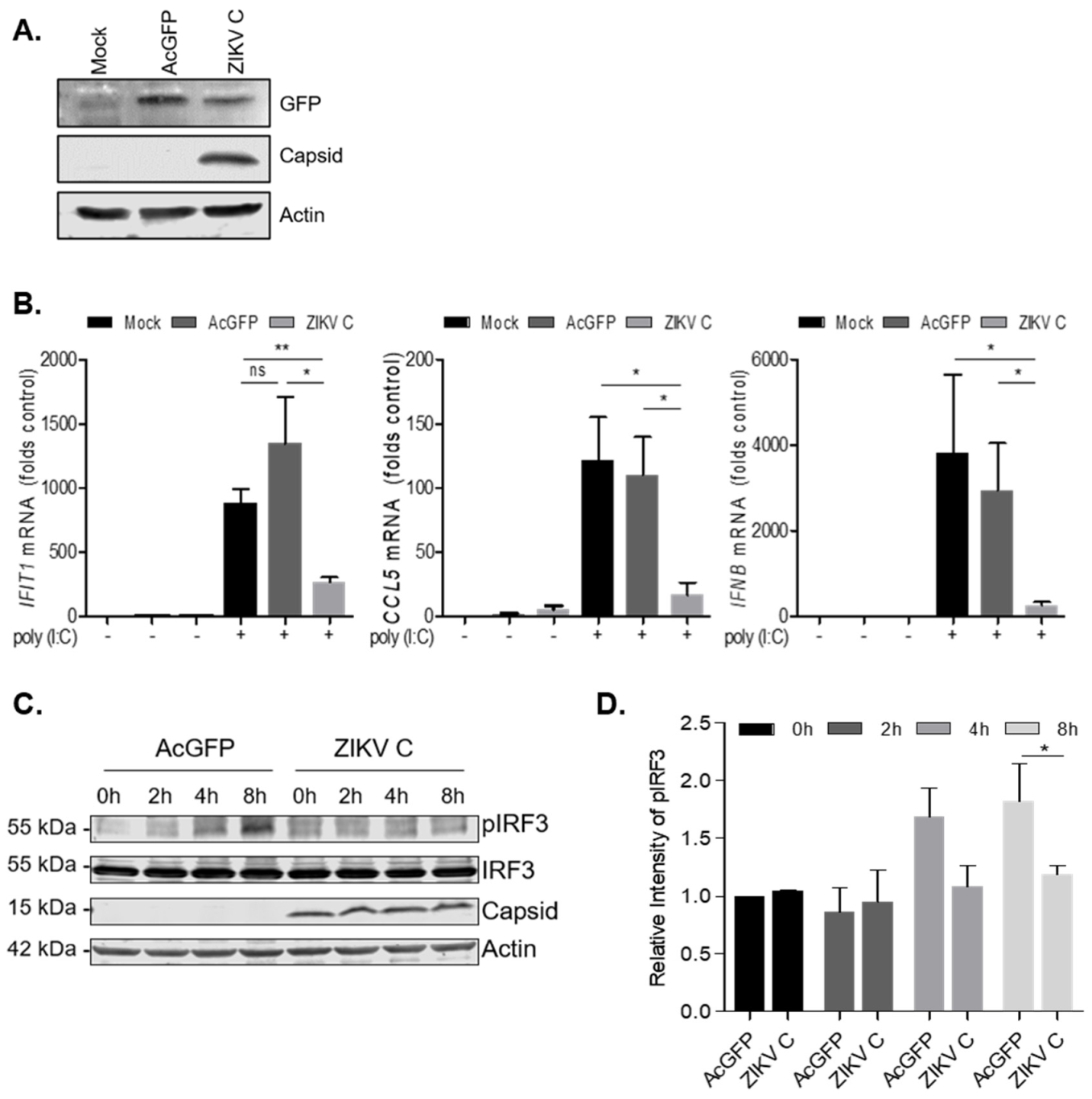 Viruses 14 00968 g005