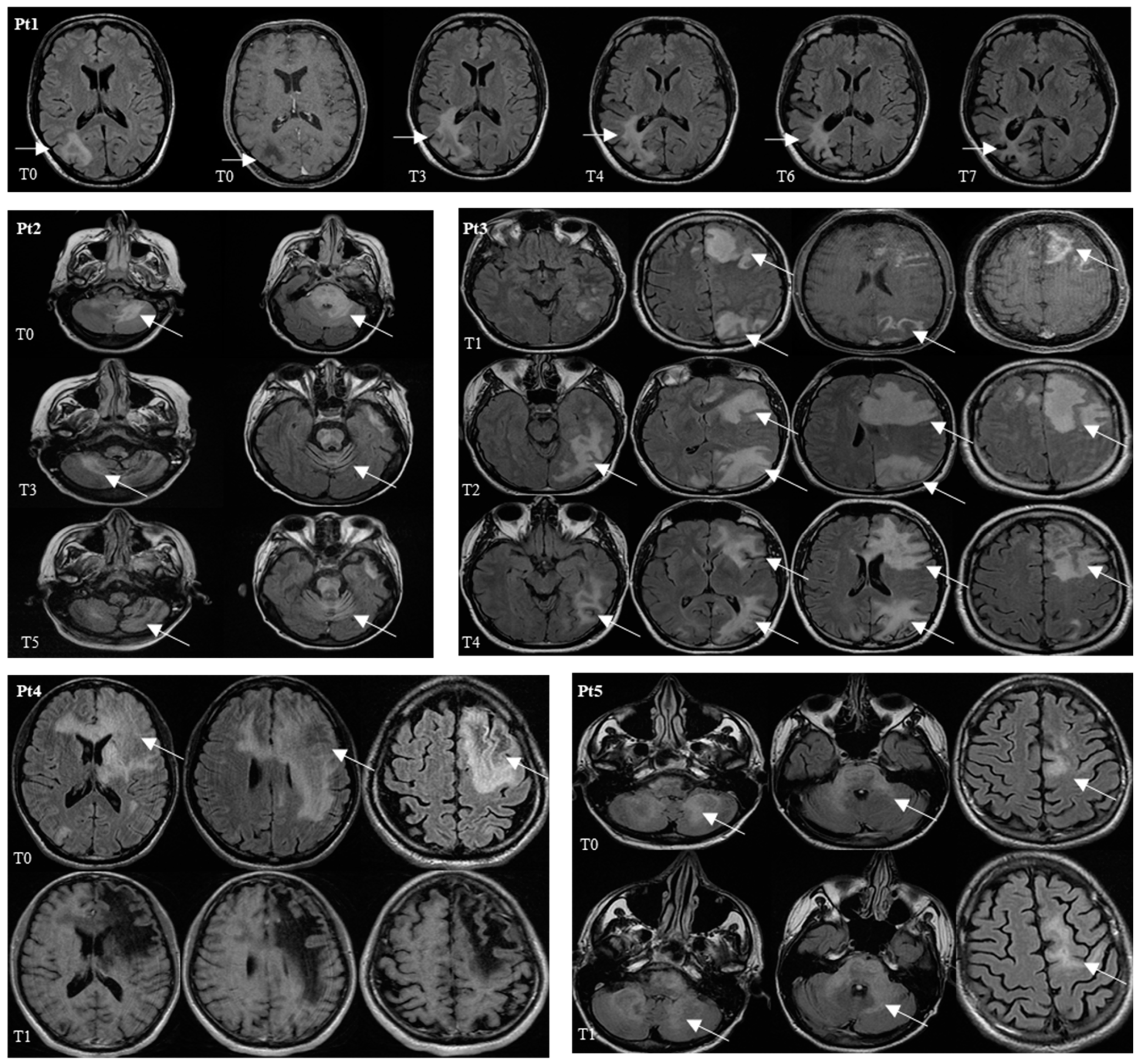 Viruses 14 00970 g002