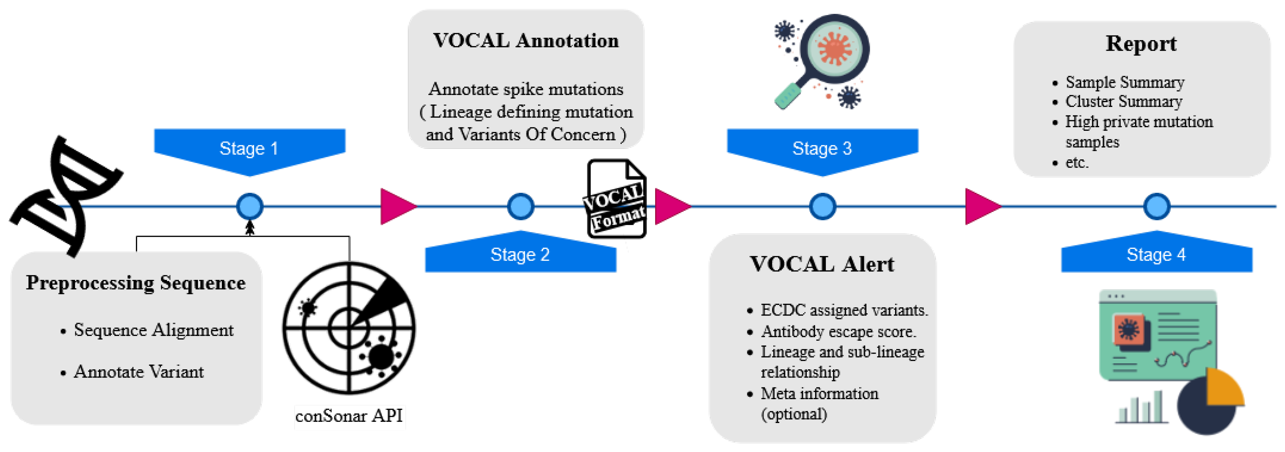 Viruses 14 00973 g001