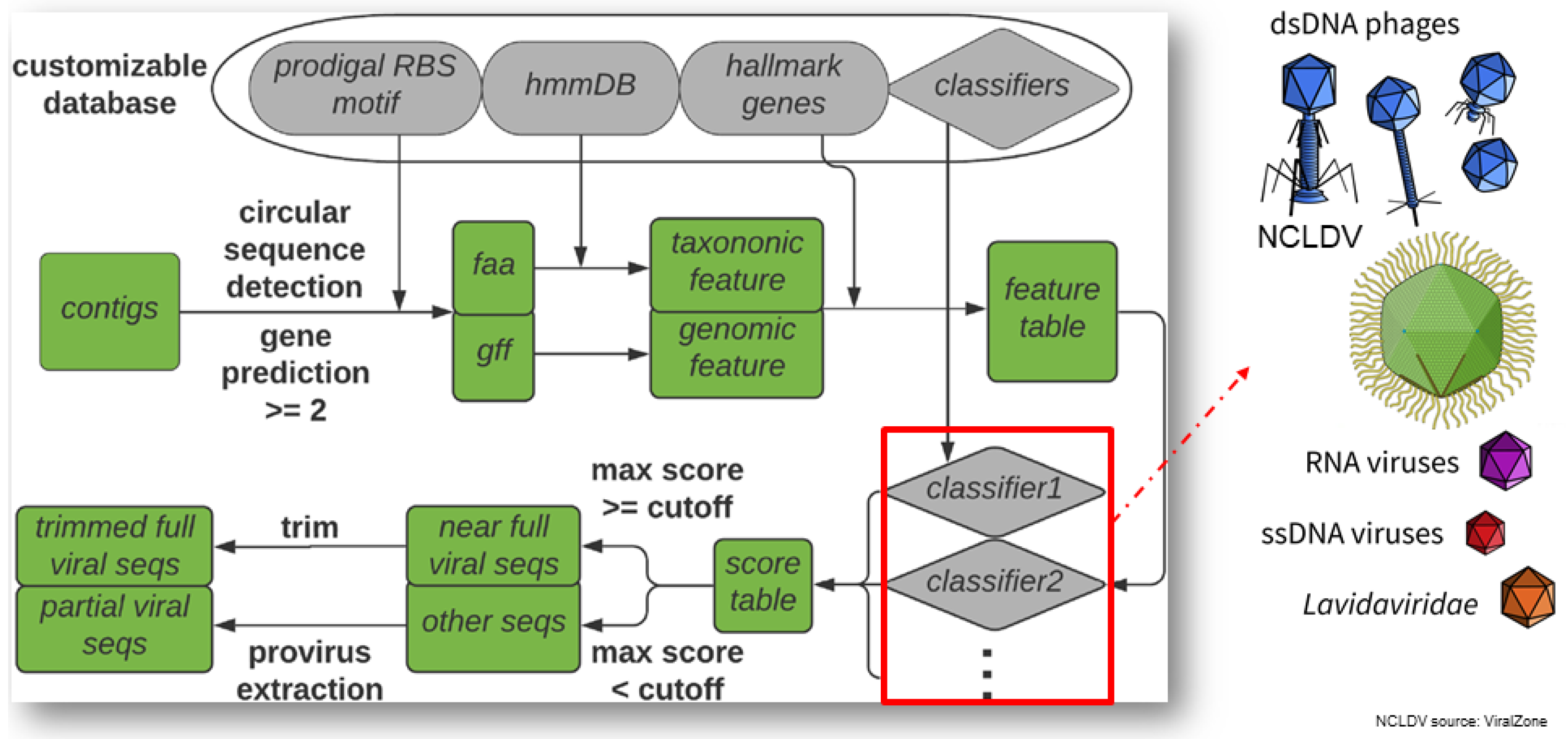 Viruses 14 00973 g006