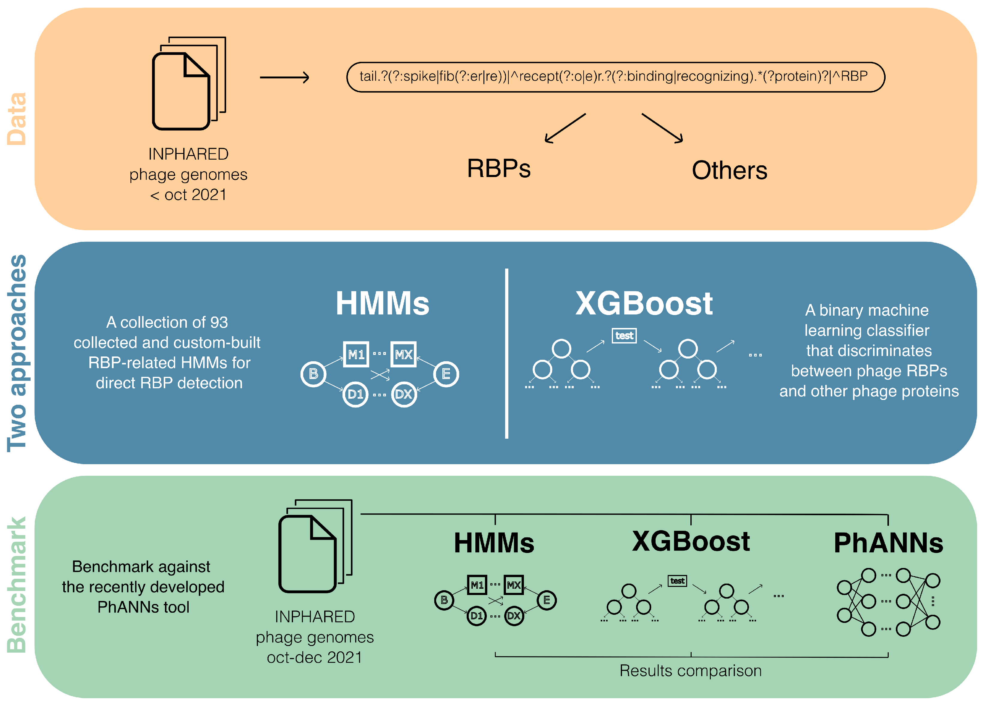 Viruses 14 00973 g007