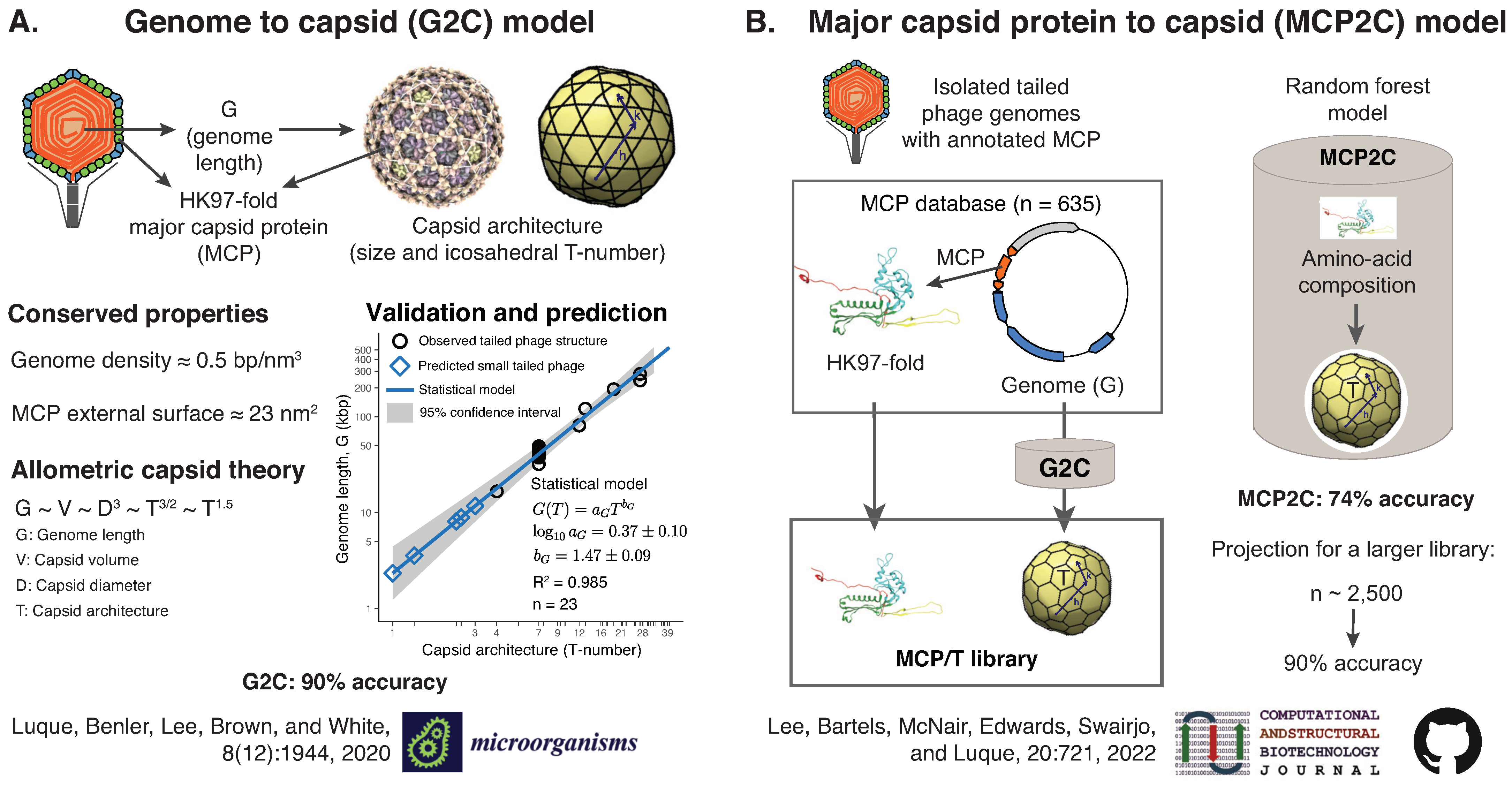 Viruses 14 00973 g008