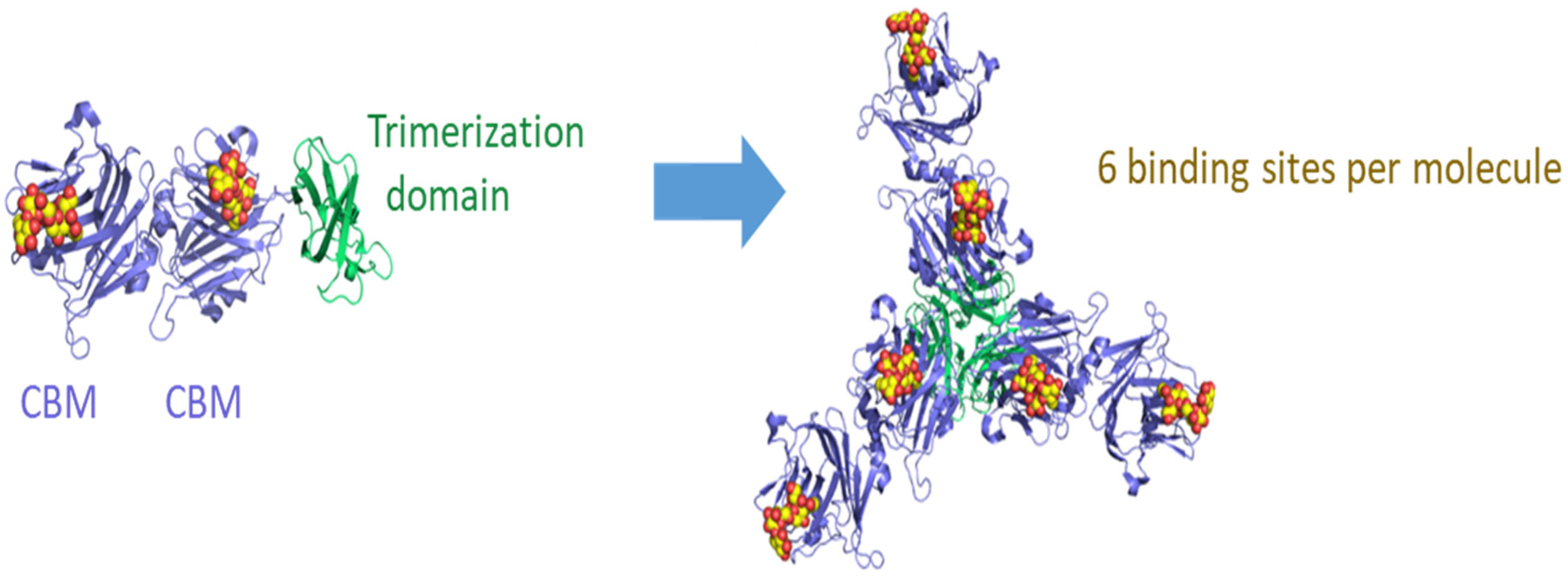 Viruses 14 00976 g001