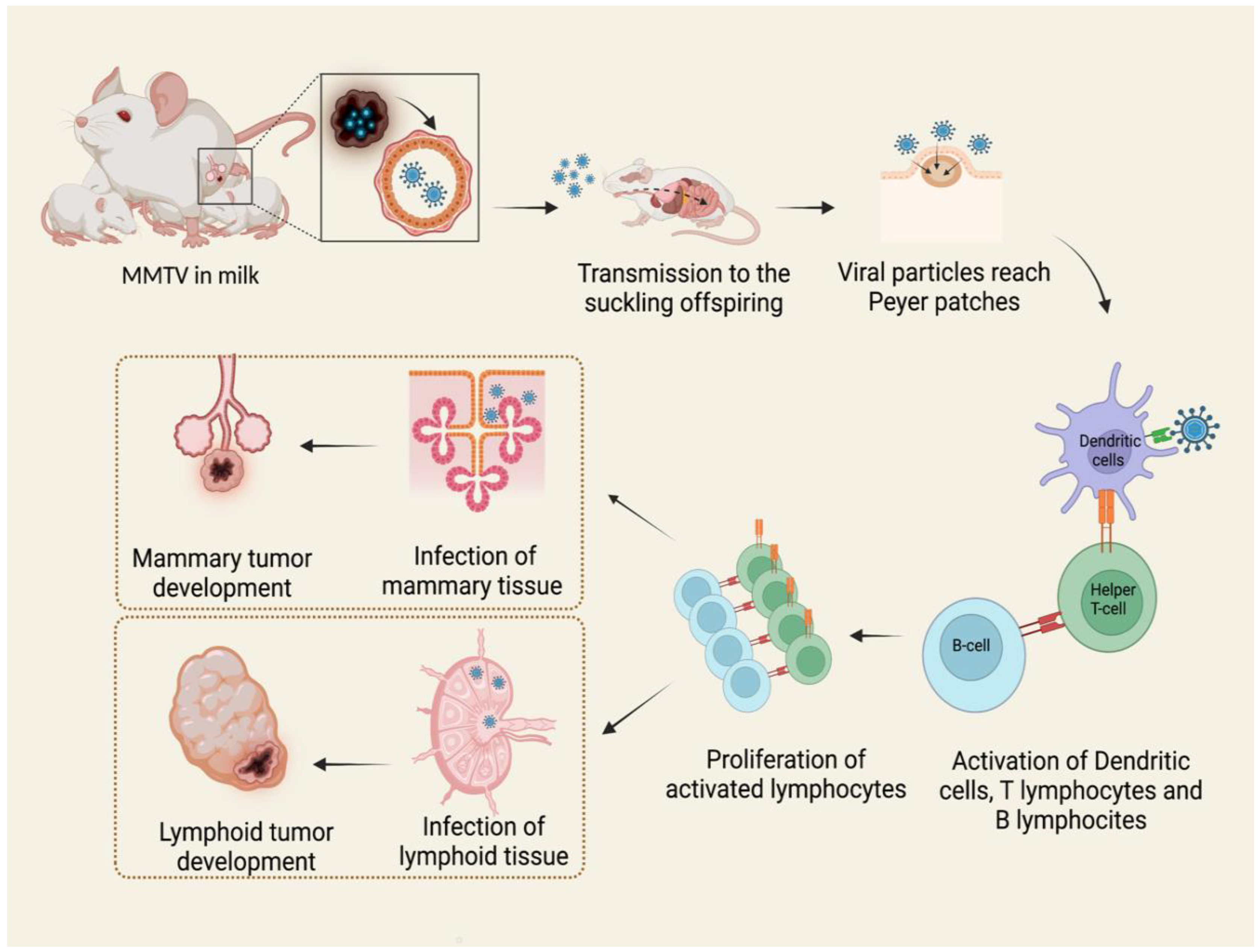 Viruses 14 00977 g001 Viruses 14 00977 g001