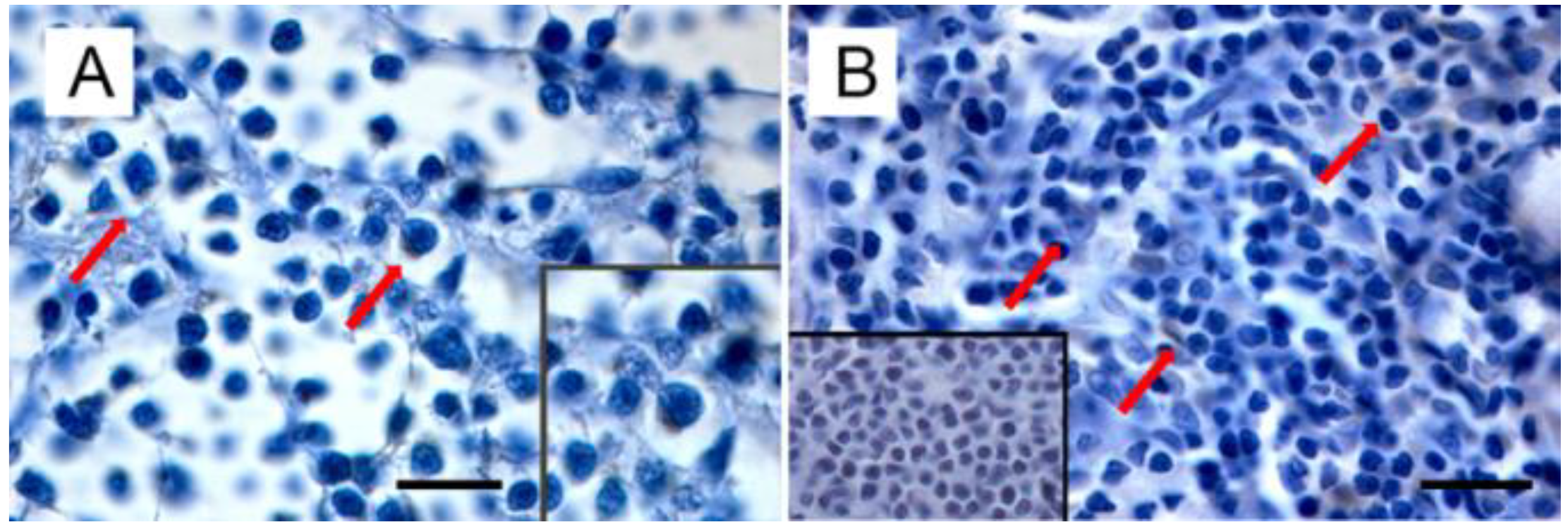 Viruses 14 00977 g003 Viruses 14 00977 g003