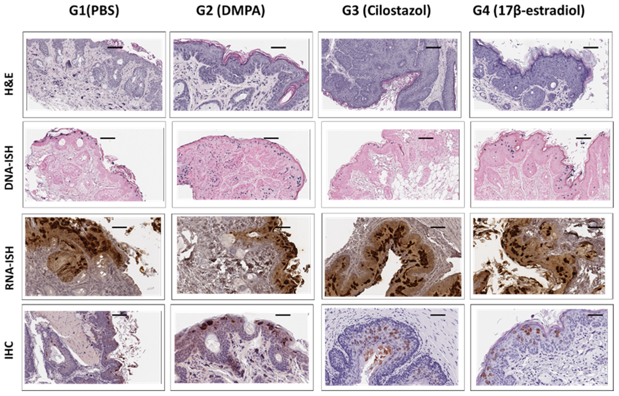 Viruses 14 00980 g008
