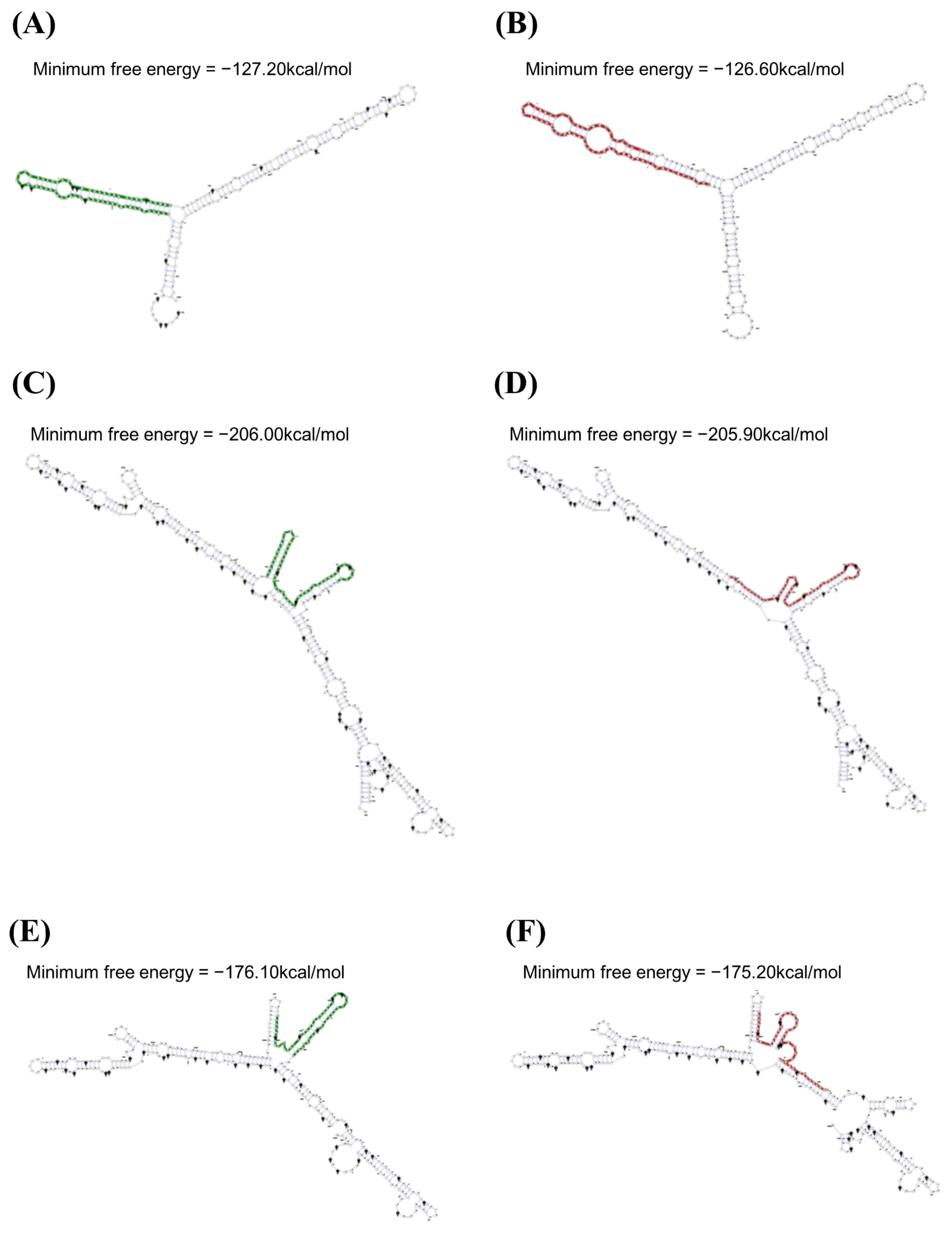 Viruses 14 00981 g002