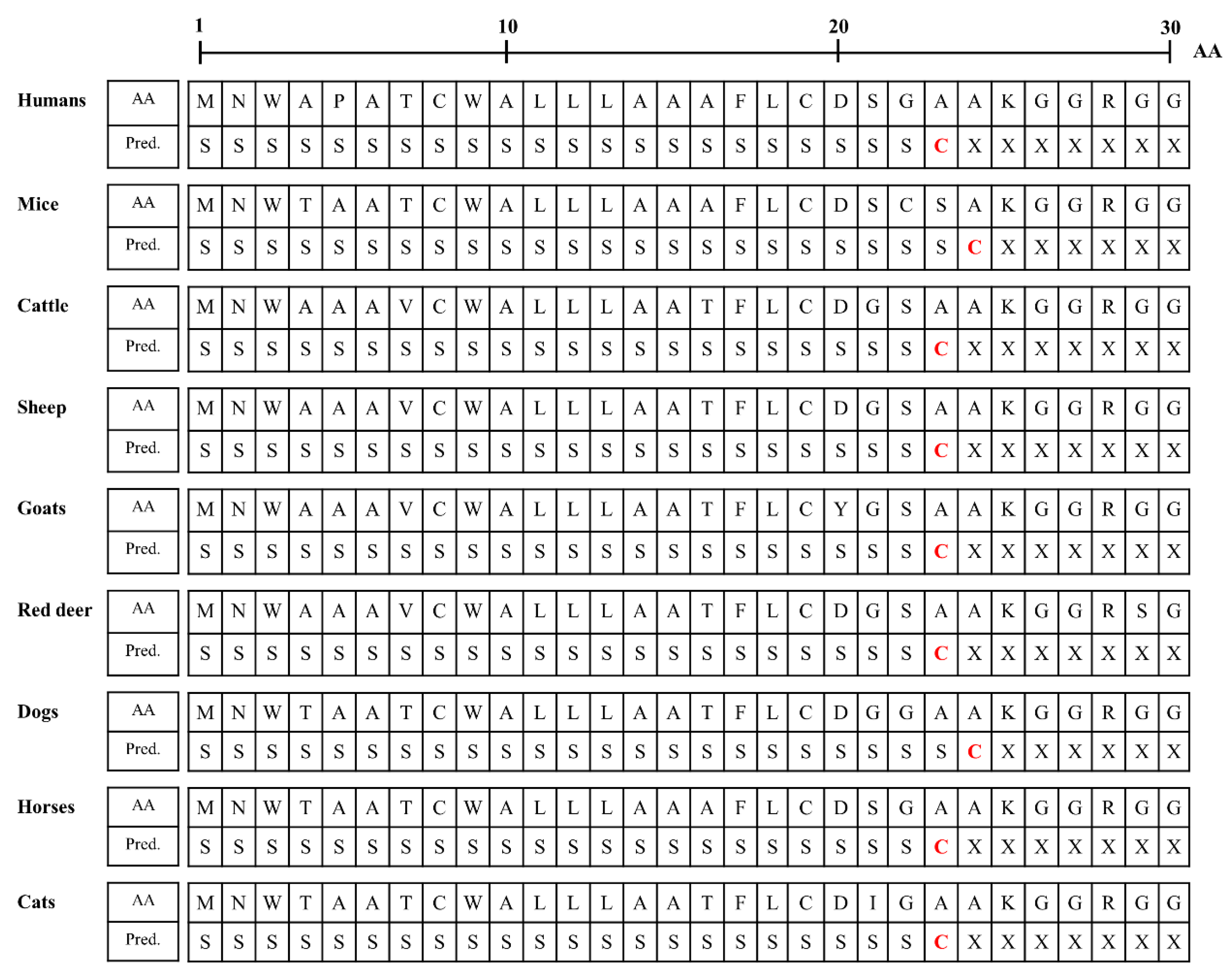 Viruses 14 00981 g004